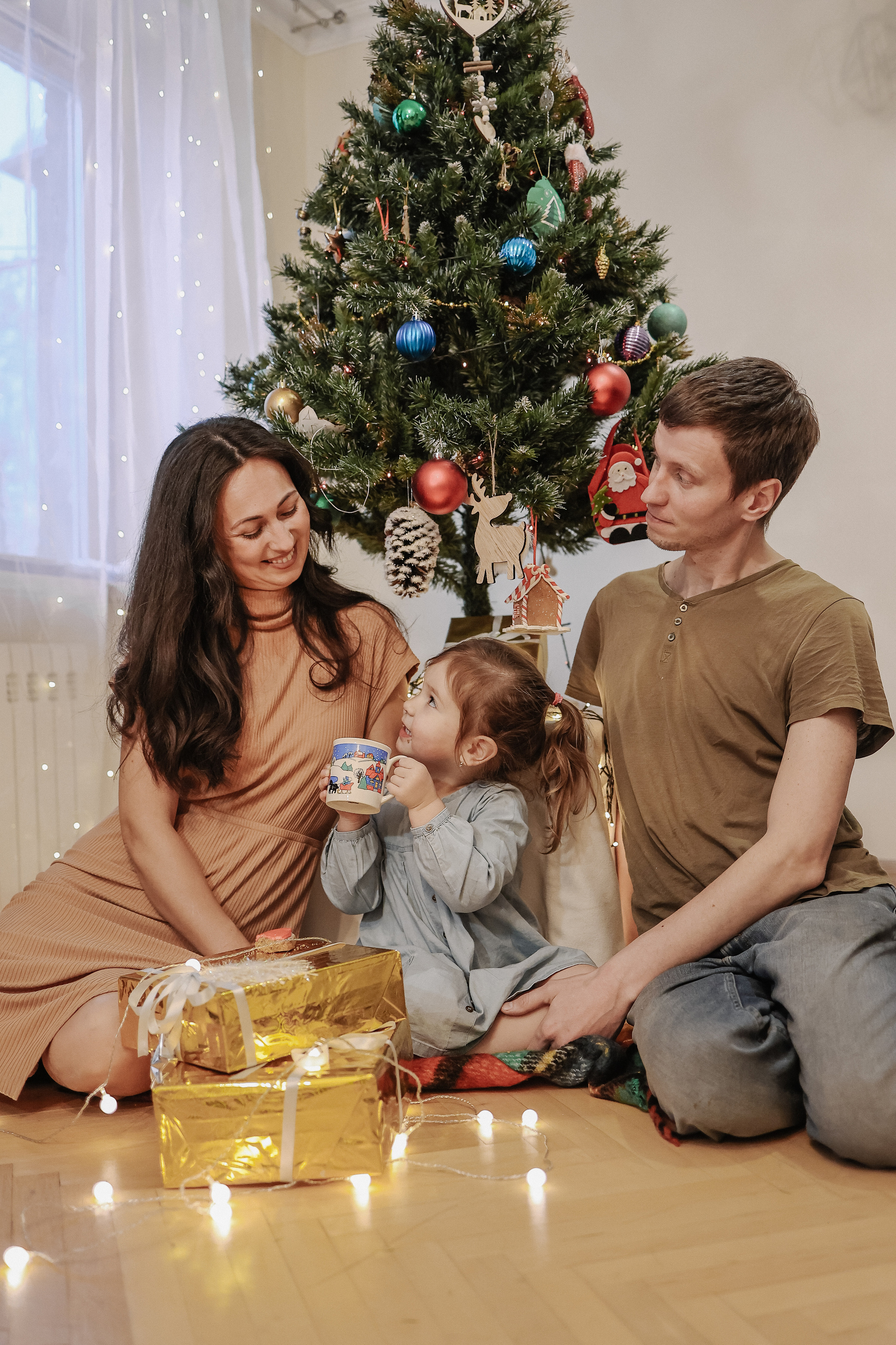 Новый год дома. Фотограф Алена Малинина в Санкт-Петербурге Пушкин Питер СПб Семейные и детские фотосессии