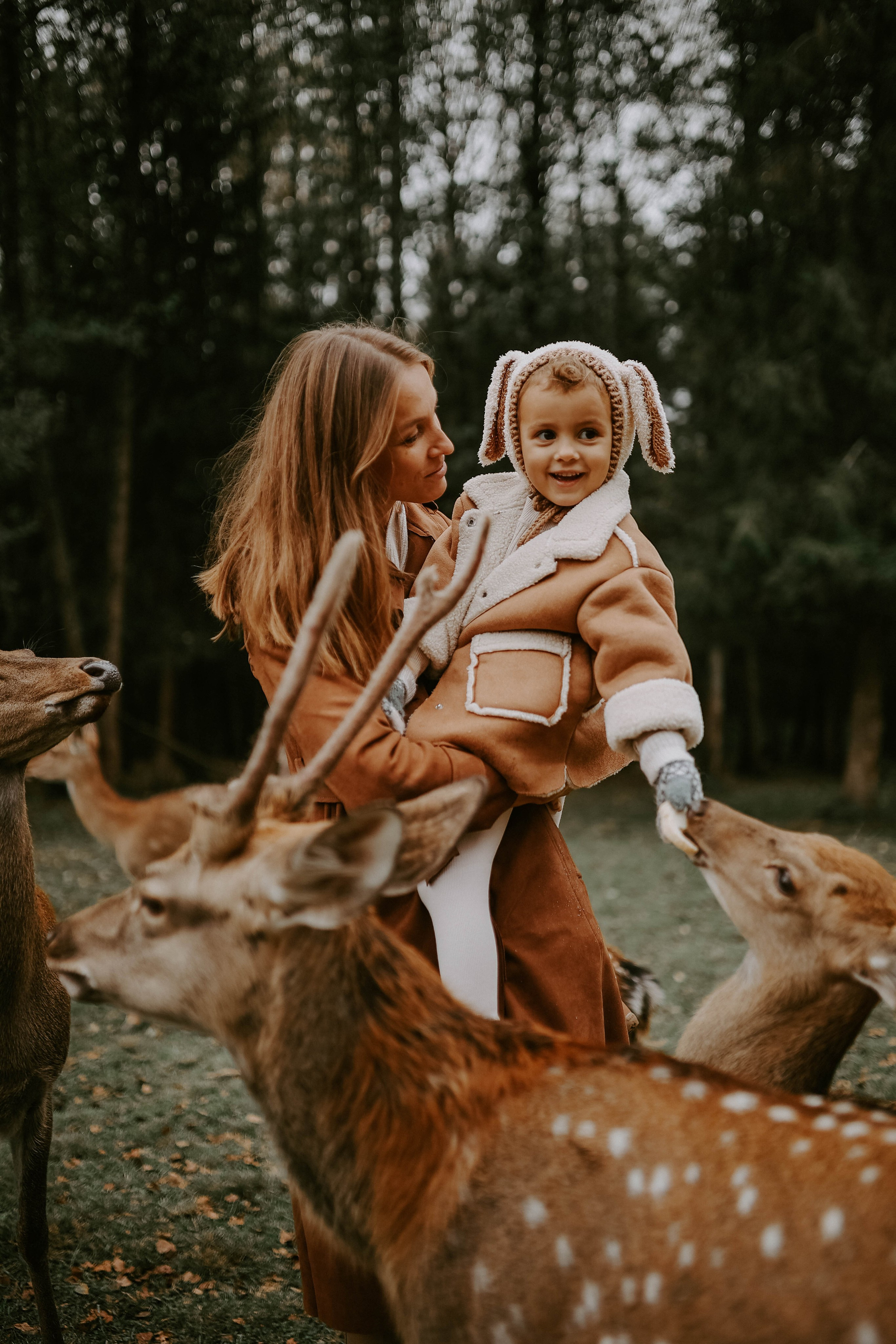 Фотовстреча с оленями. Photographer in Moscow & everywhere in the World Alena Vyalova