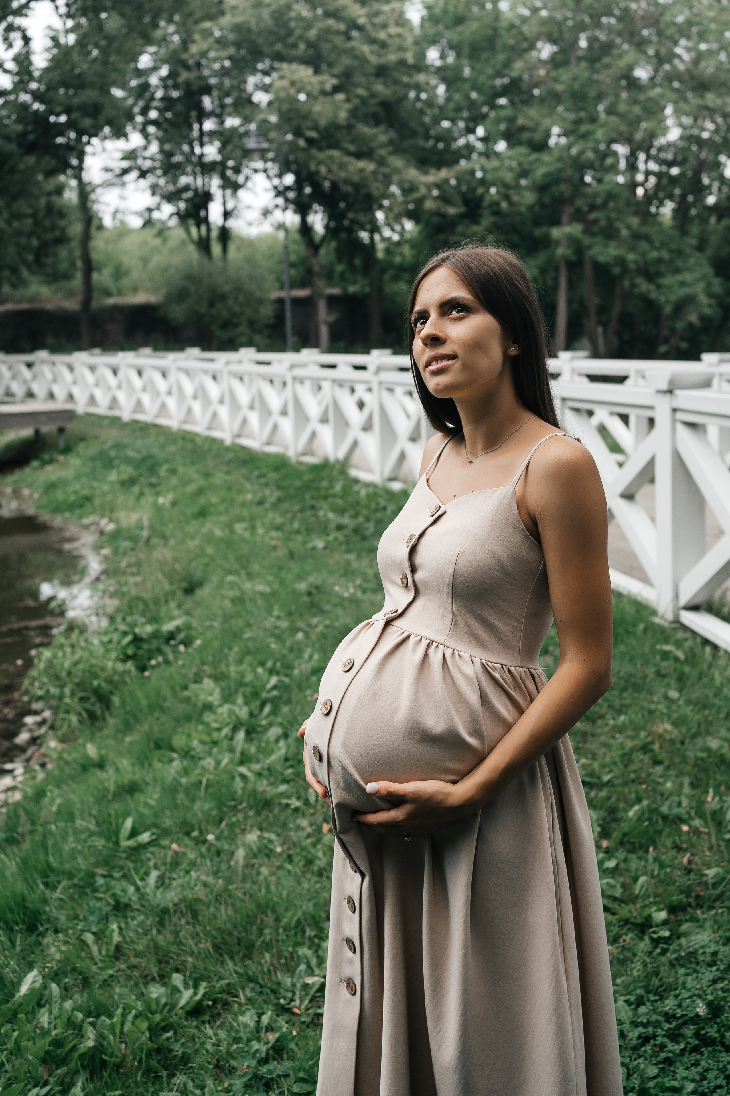 Абиша и Илья