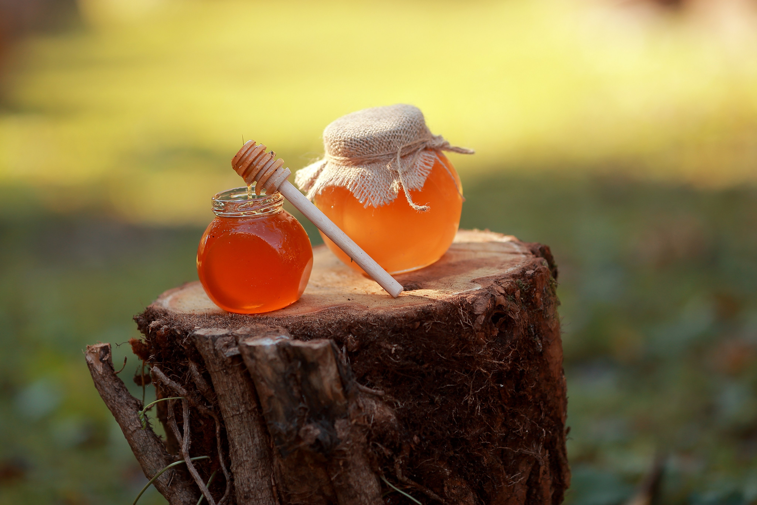 Стамбул.Фототур. Ольга Котова