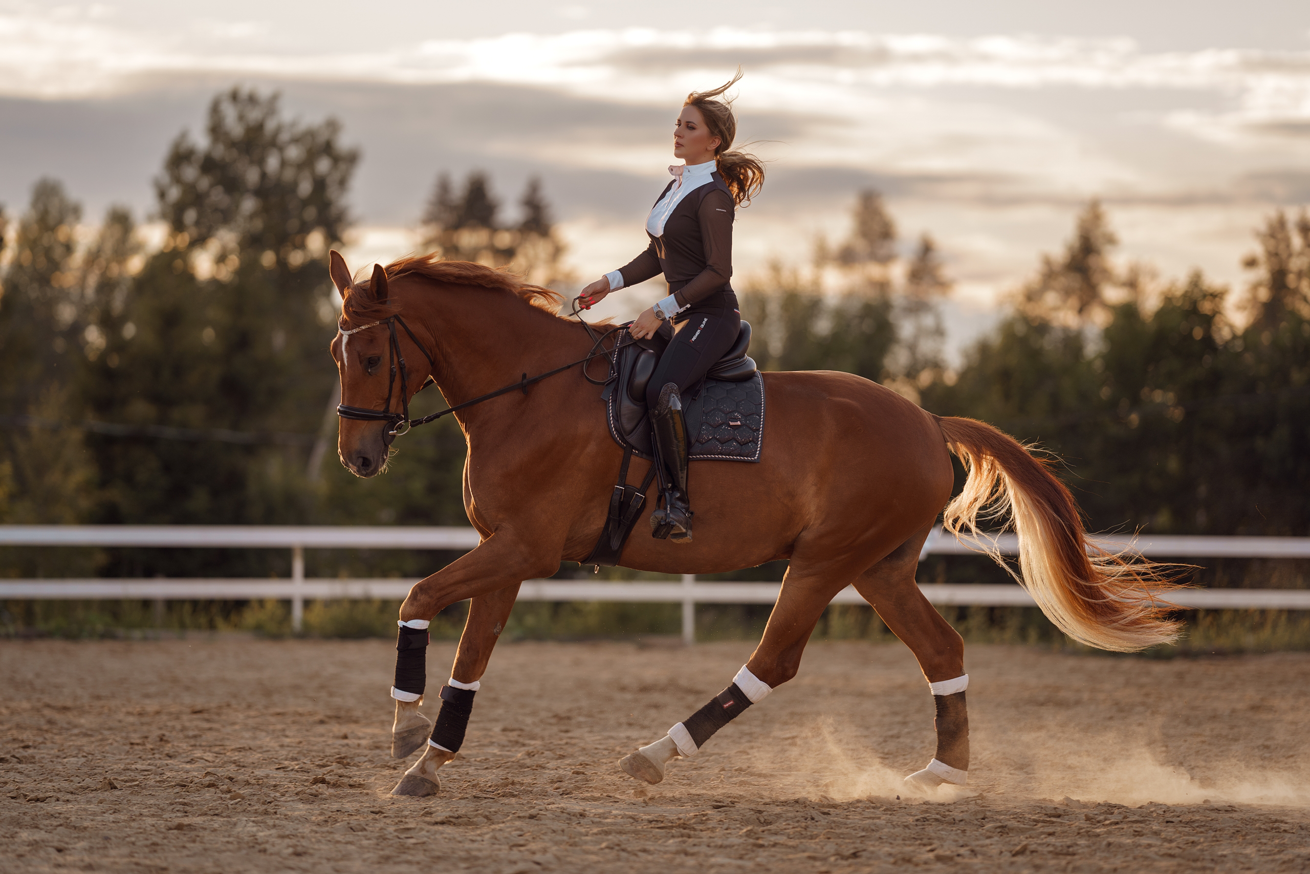 Фотосессии с лошадьми. Фотограф Артемьева Катерина|фотосессии с лошадьми