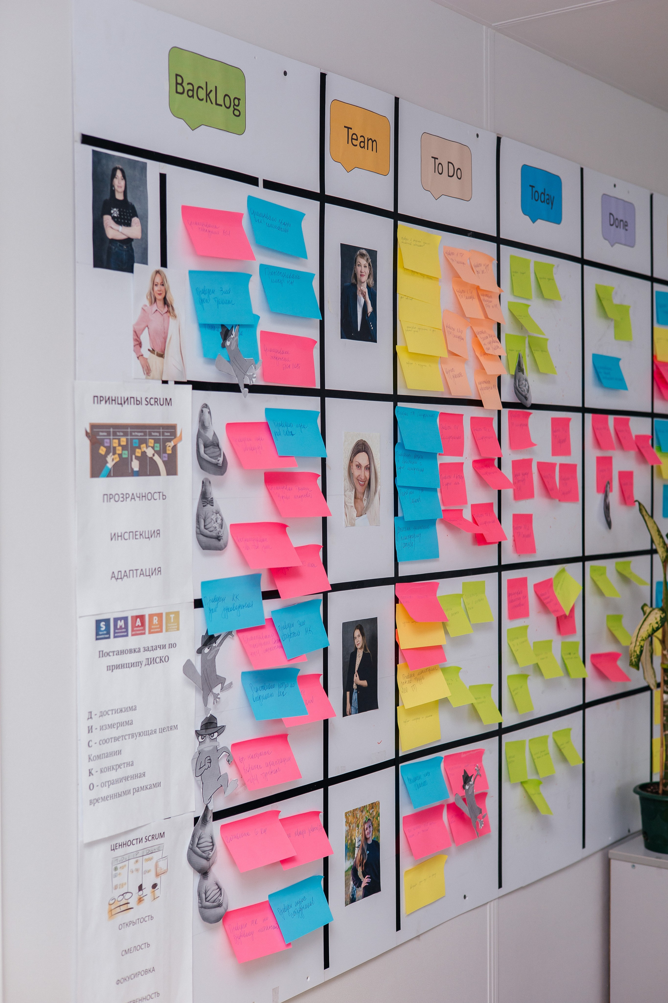 Репортажи. Фотограф Ростов-на-Дону | фототерапевт