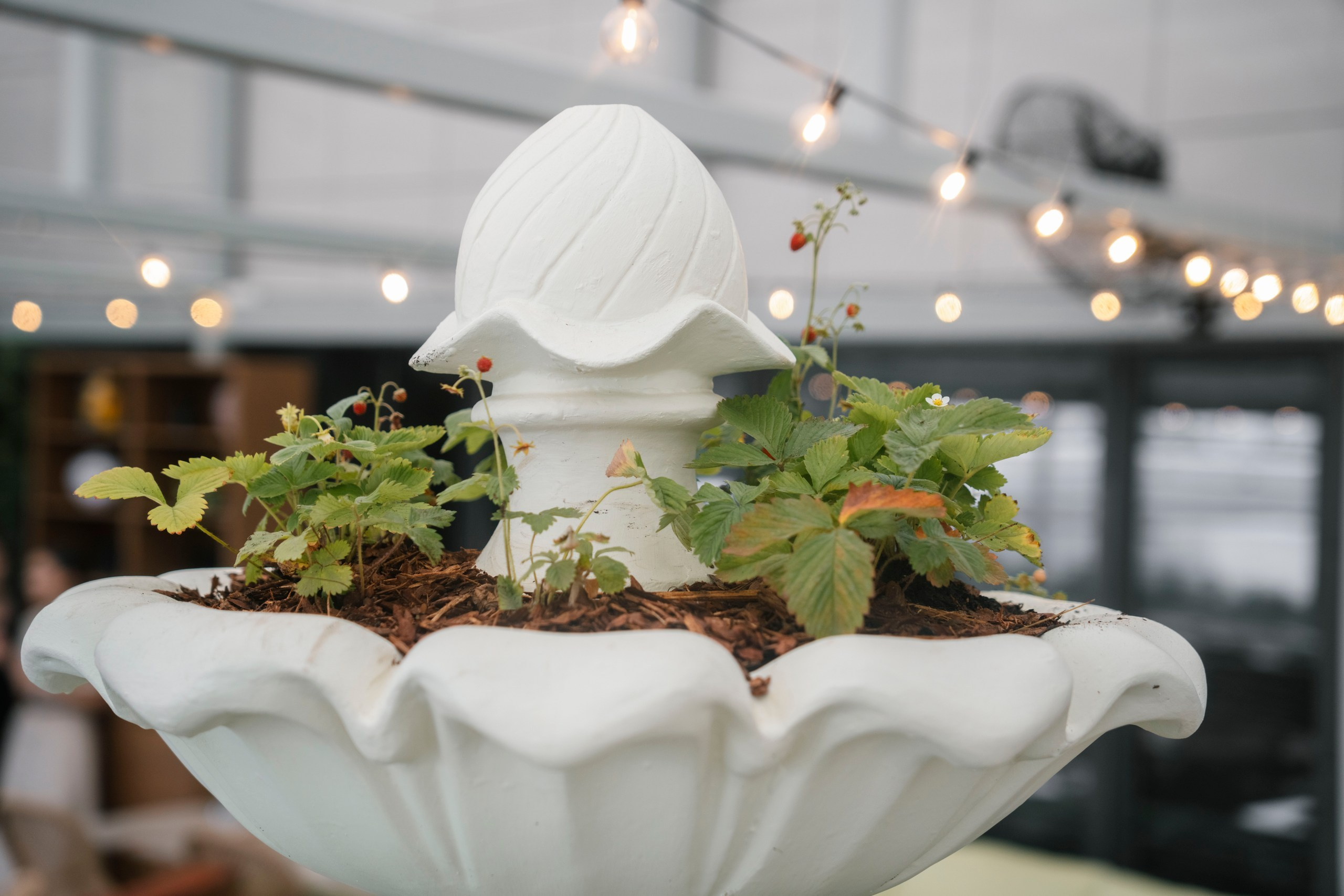 Толока х Enter. Саша Копылов, фотограф в Казани