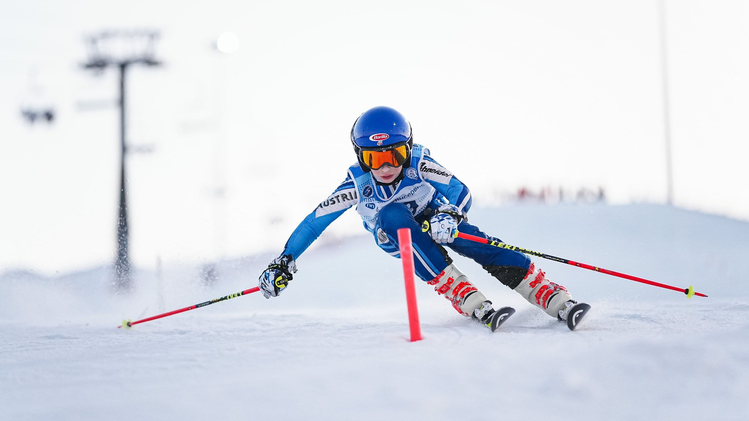 SL (Slalom) - Слалом. Соревнования по горнолыжному спорту. Московская область, Шуколово