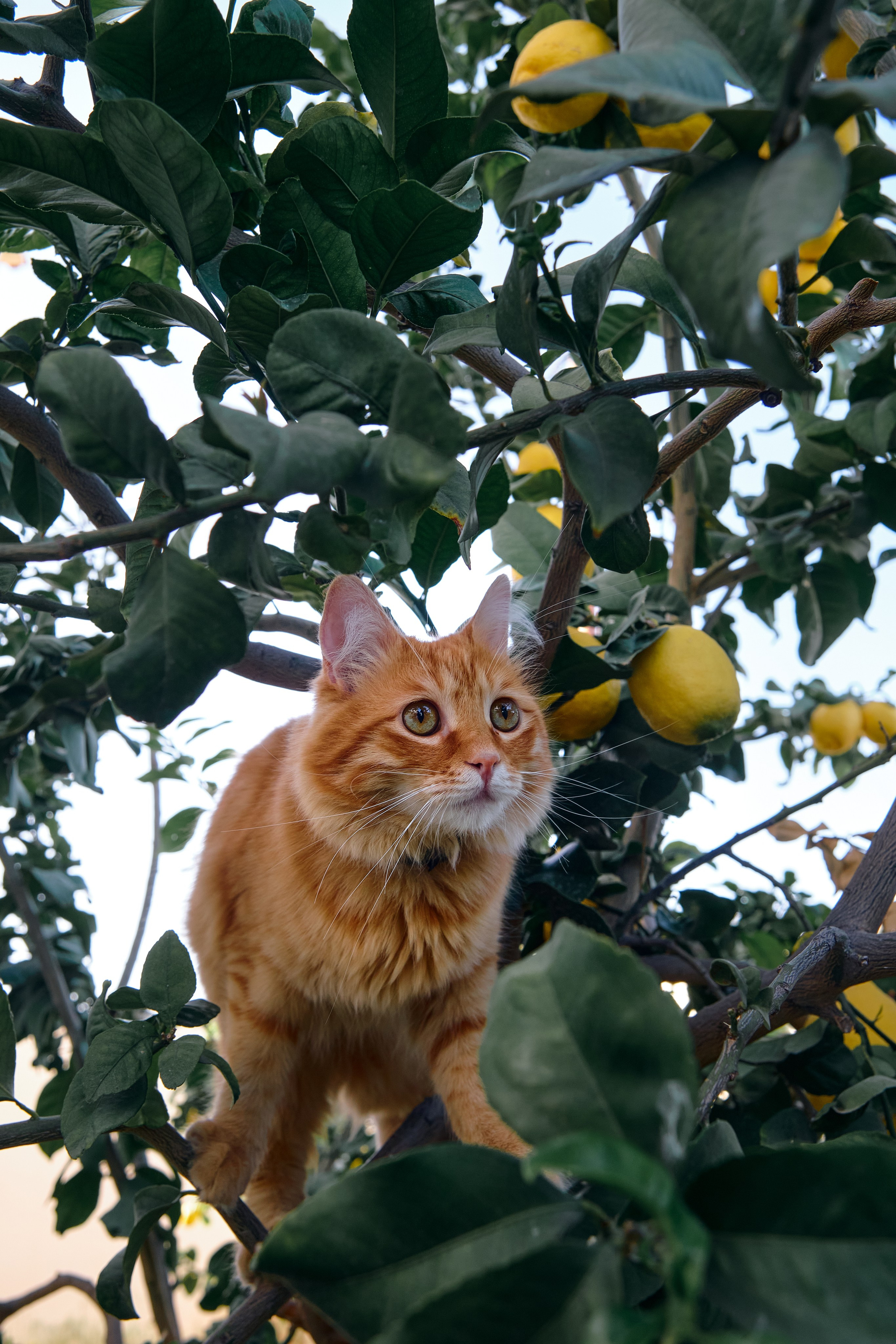 Сyprus > 2024 / april. Aleksandr Kobtsev