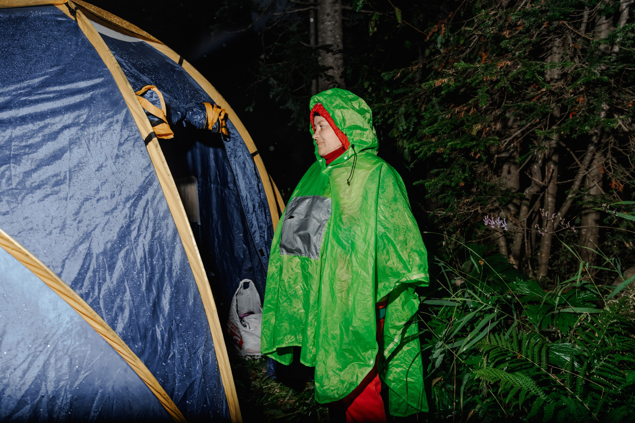 Дог-треккинг