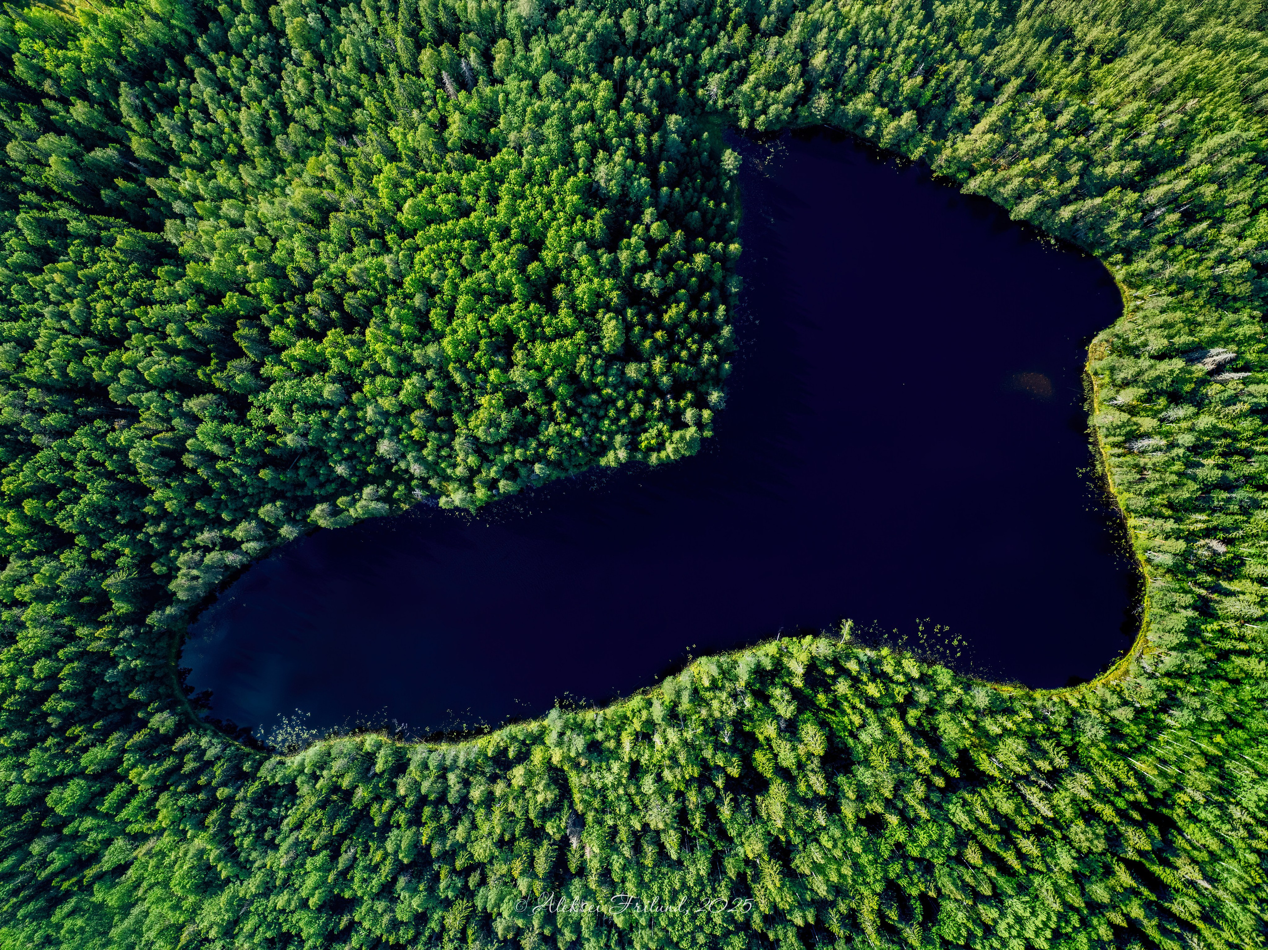 Природа Карелии. Аэросъемка. Фото и Видео в Карелии. Алексей Фрилунд