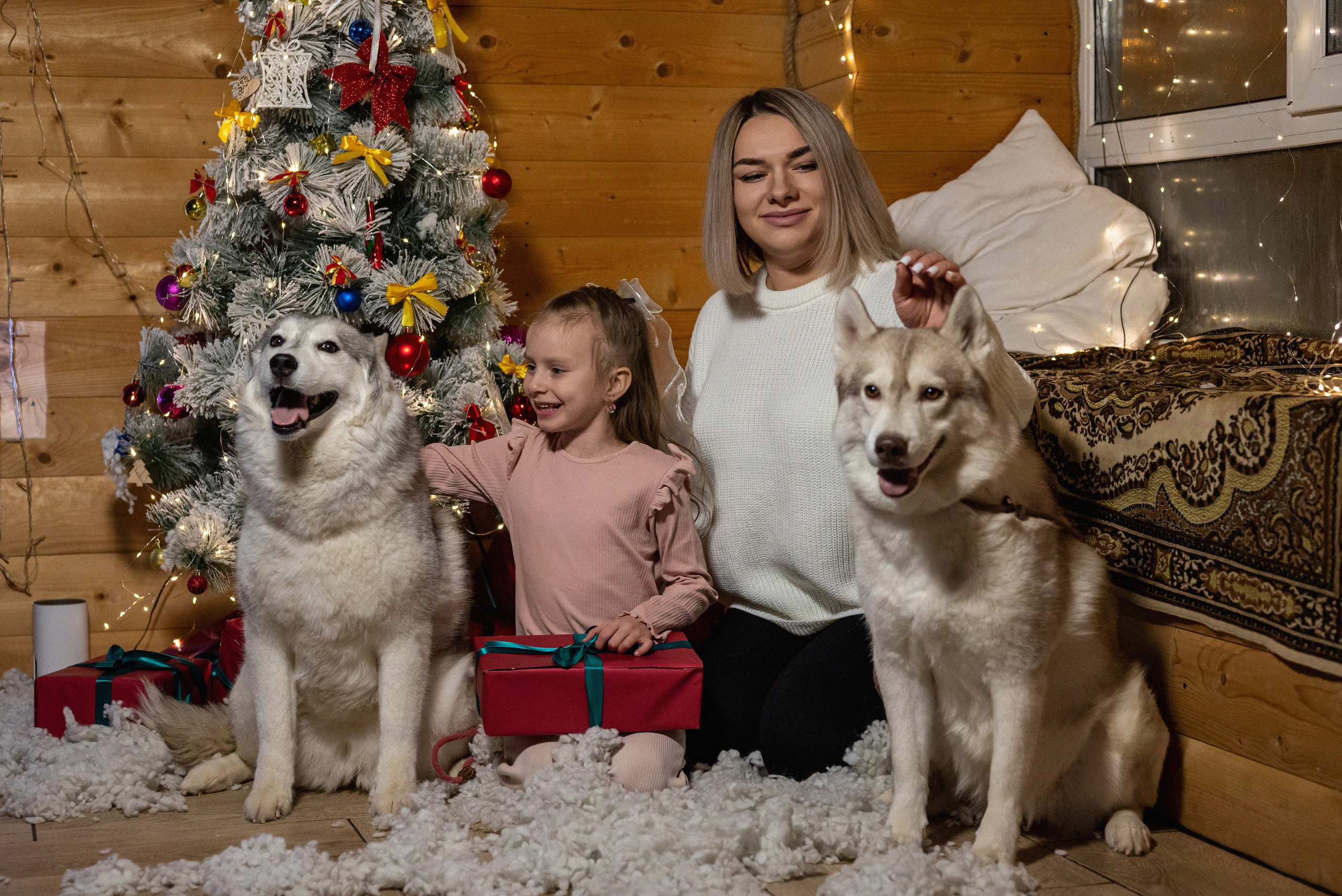 Фотопроект с хаски 2024 г. Фотограф в городе Салават