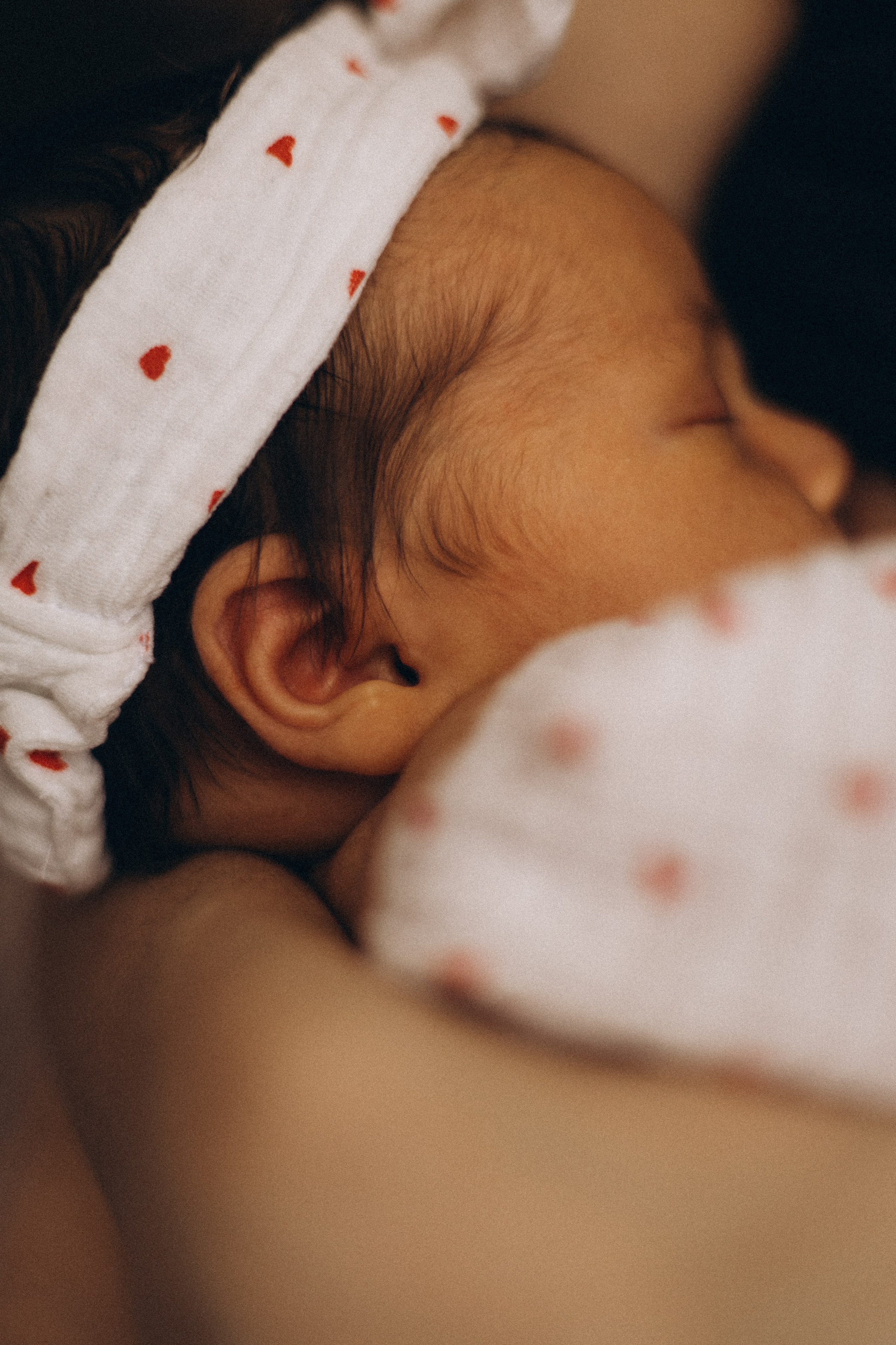 Лиза и Дарьяна. Семейный фотограф в Красноярске Екатерина Гайнутдинова