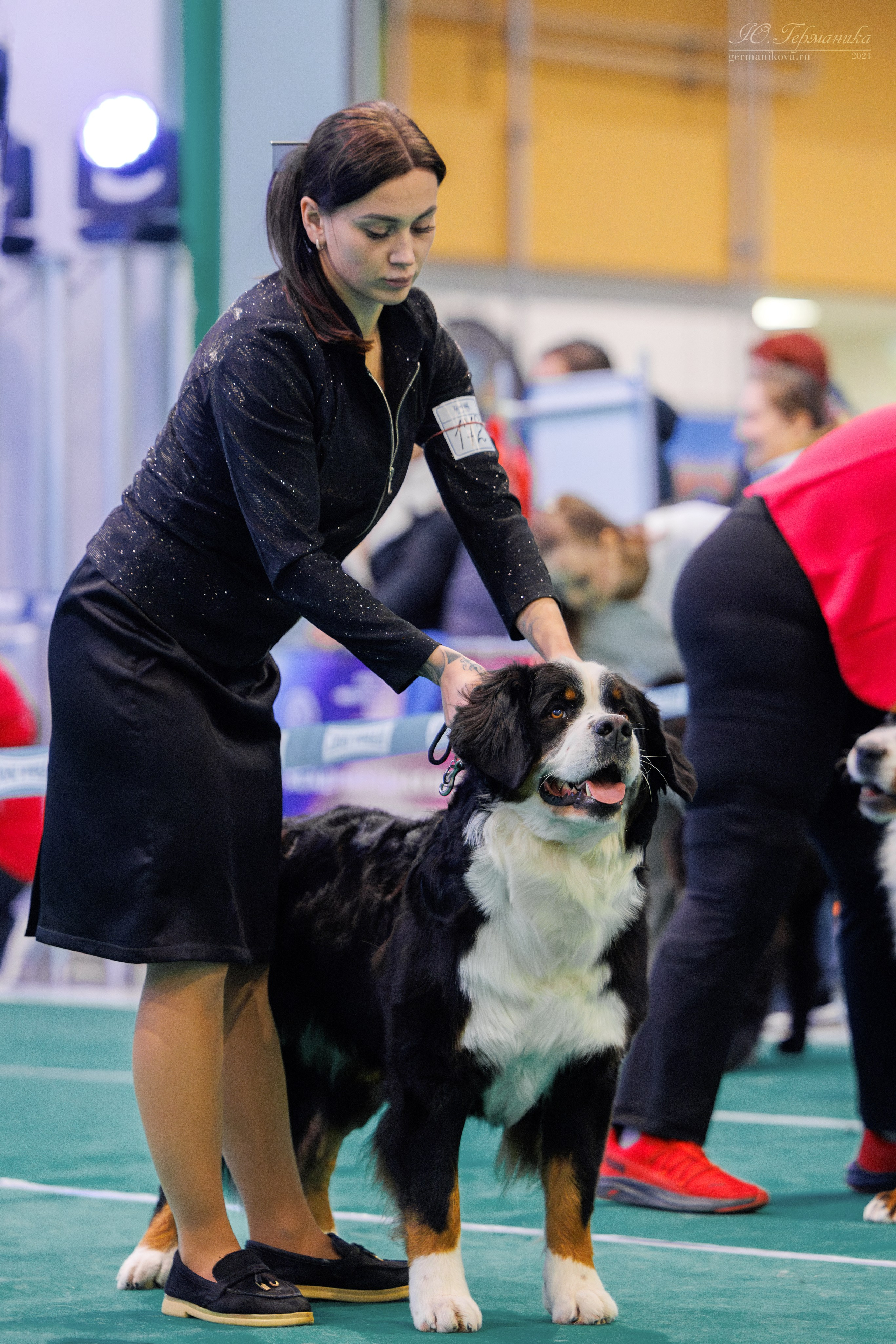 Минск 23.11.2024. Фотограф-анималист Юлия Германика