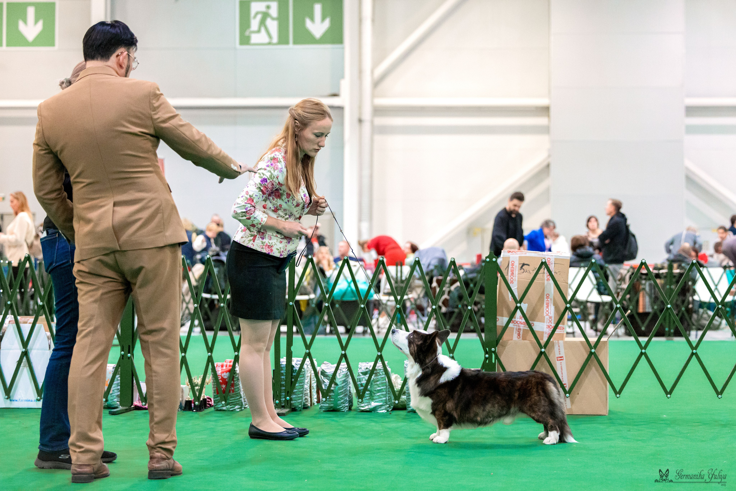 Сфера 29.10,Крокус 4.11,Сфера 12.11.2023. Фотограф-анималист Юлия Германика