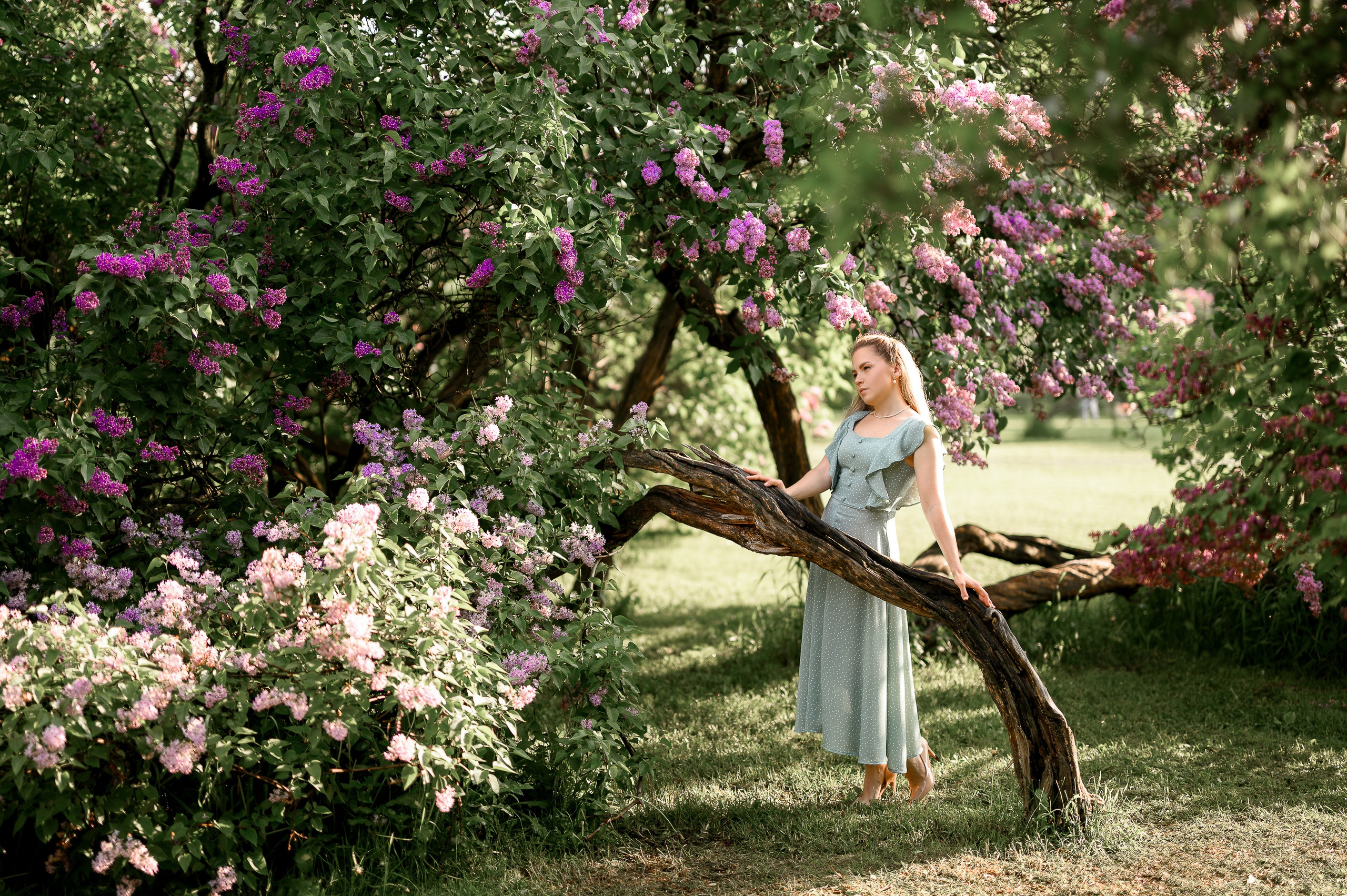 Анастасия. Фотосессия в цветении в Сиреневом саду в Москве. Semerlina.ru