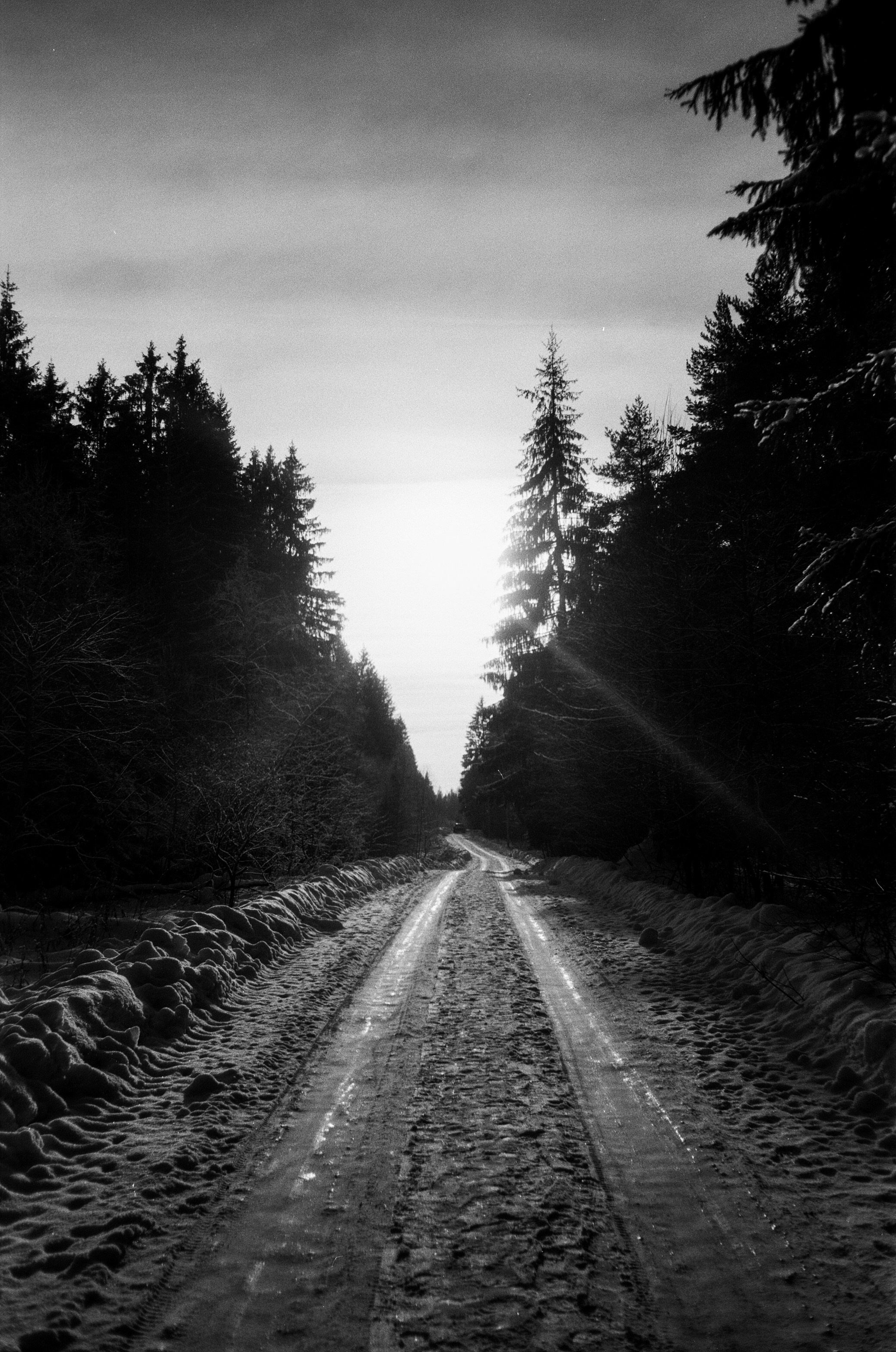 Minox 35GT / Тасма Т-25 ISO 100 / Давыдовское, Лукино