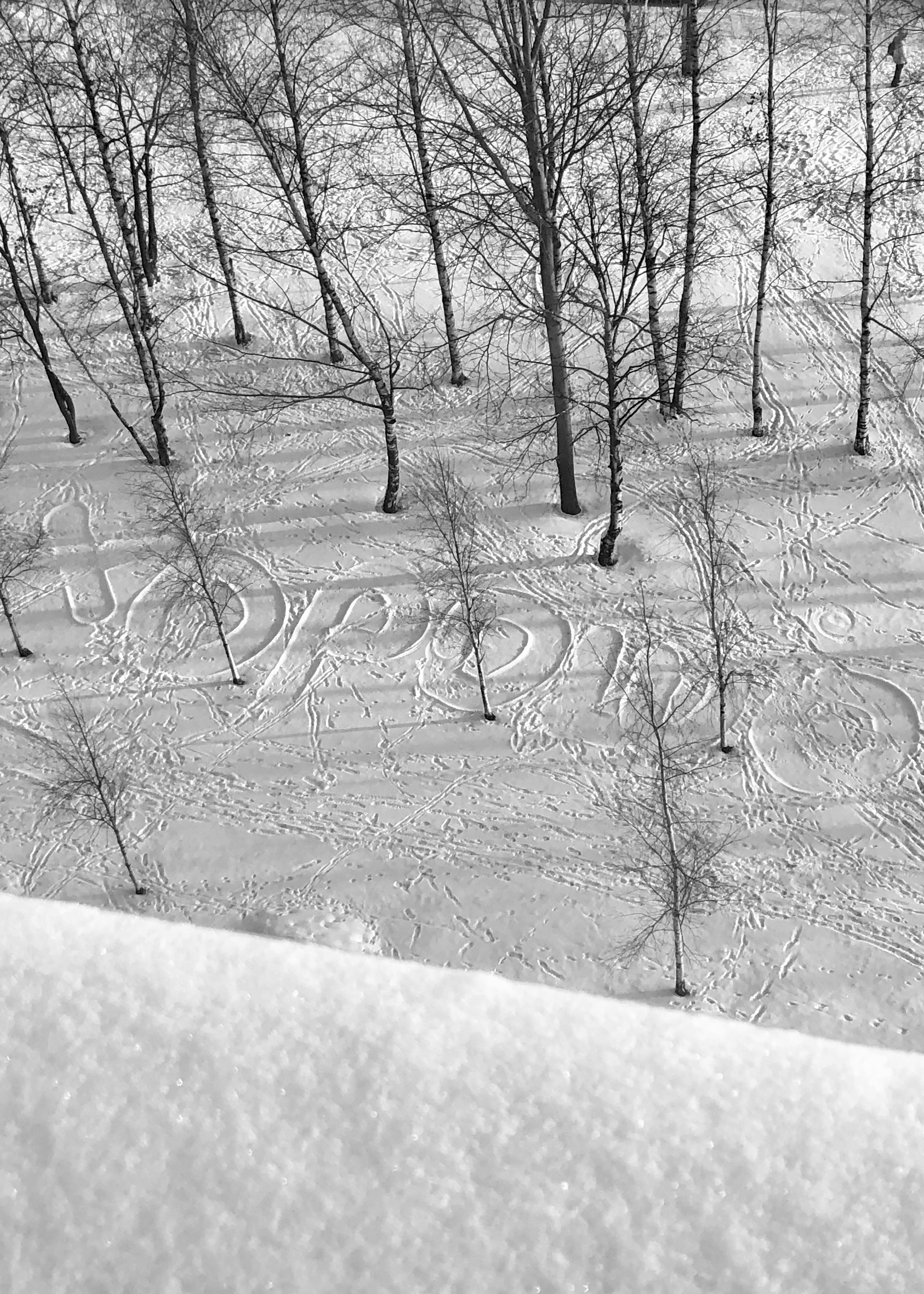 Frame 34 / 34 кадр. Художник Катерина Копейкина / Artist Katerina Kopeikina