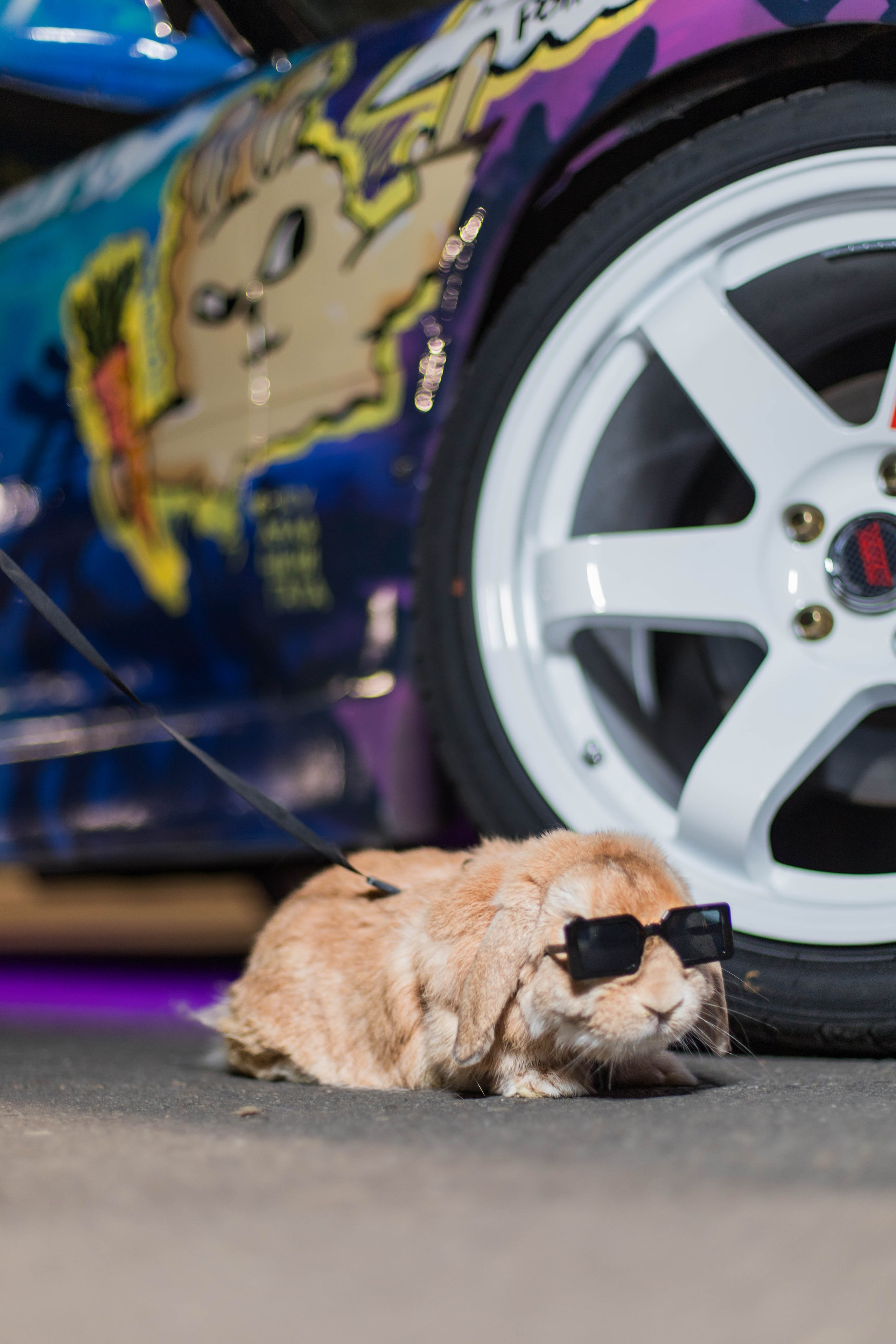 Даша и её Mark2. Репортажный фотограф в Иркутске — Ярослав Ковалёв