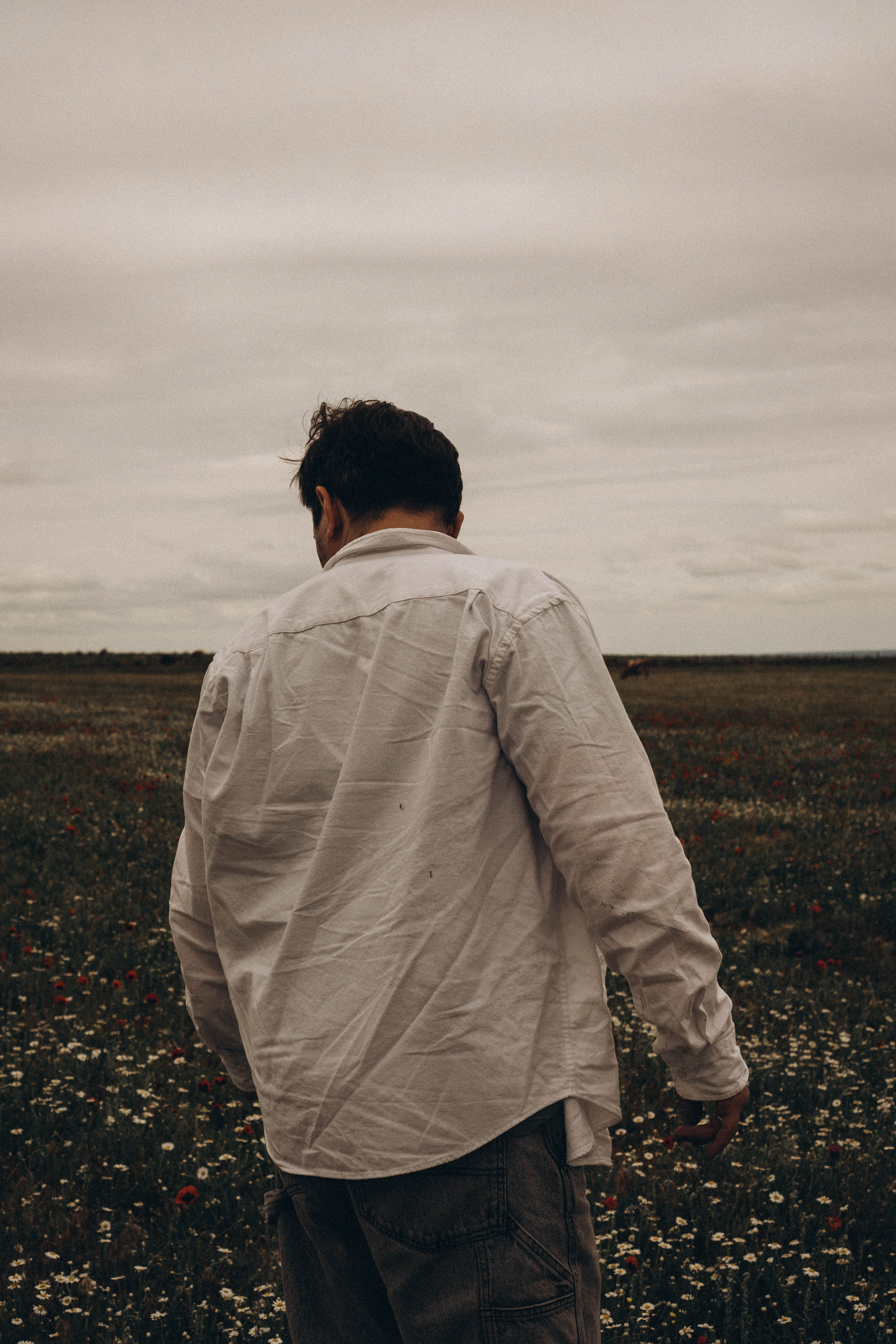 Маки. Профессиональный фотограф, Санкт-Петербург — Виктория Богомолова