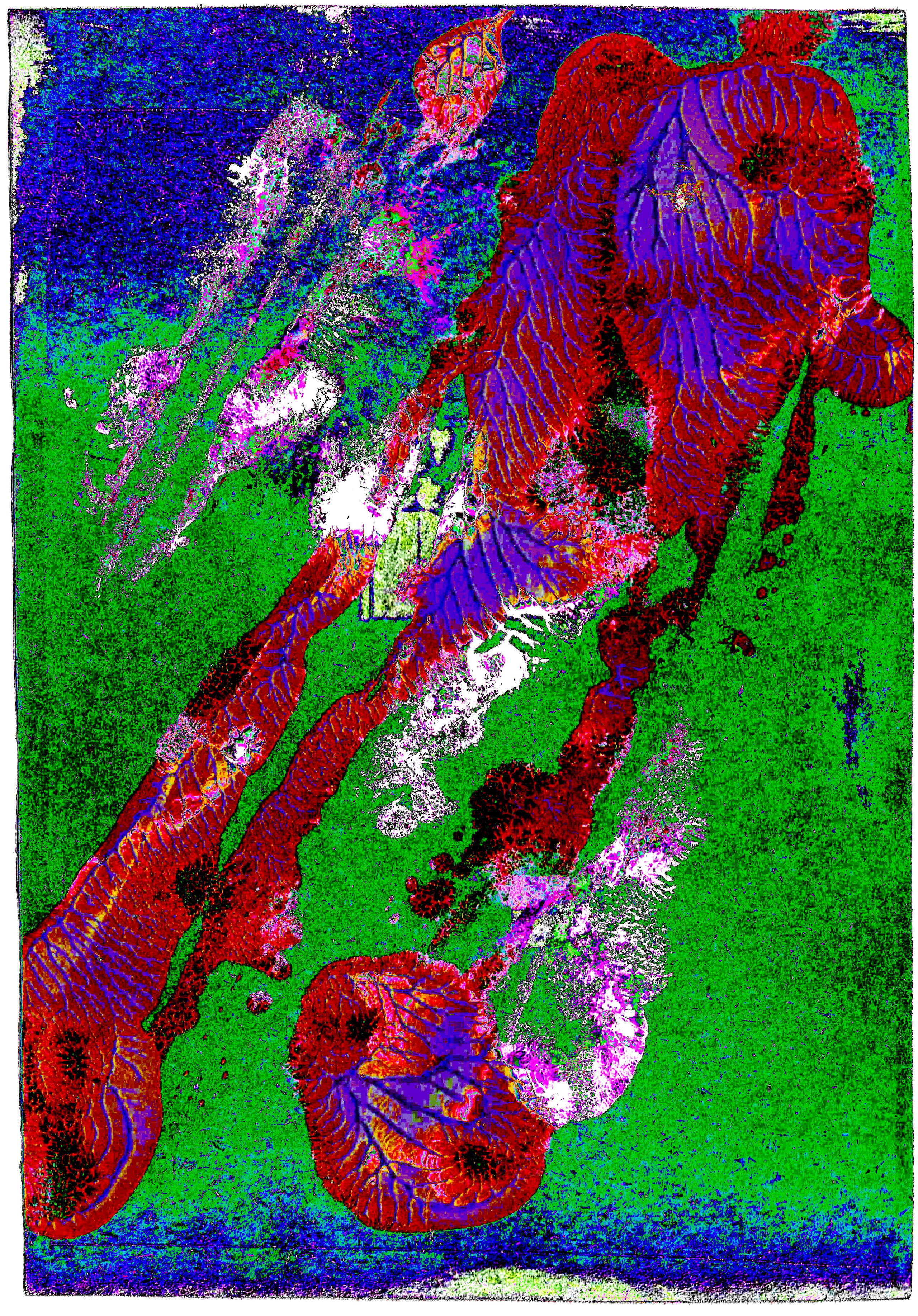 Эндорфин. Катрин Эдельвак