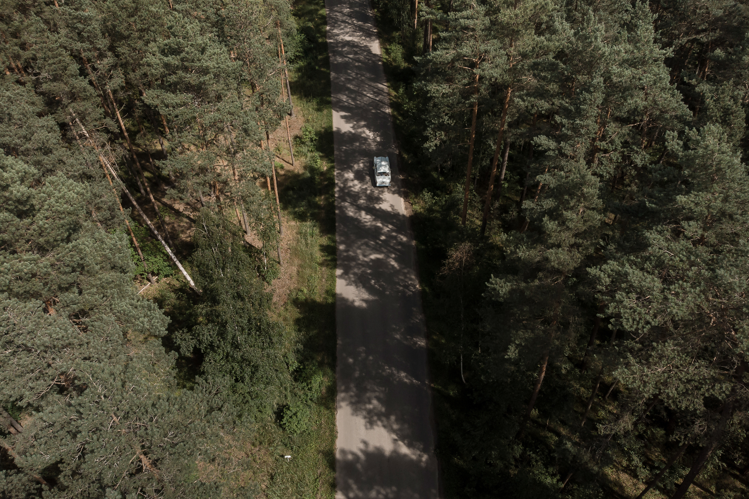 Wedding day Евгений и Станислава. Свадебный фотограф Колесников Антон