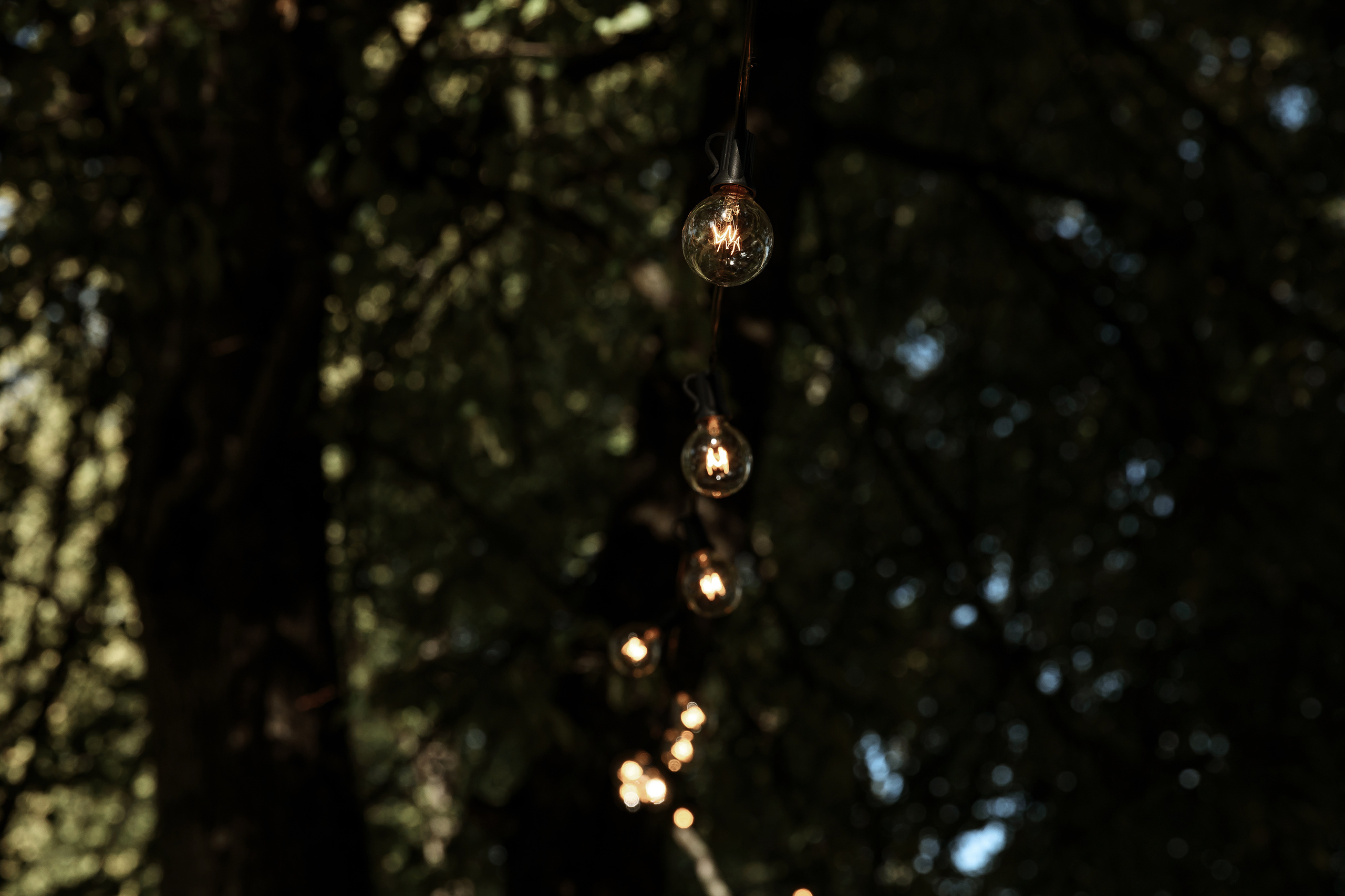 Wedding day Евгений и Станислава. Свадебный фотограф Колесников Антон