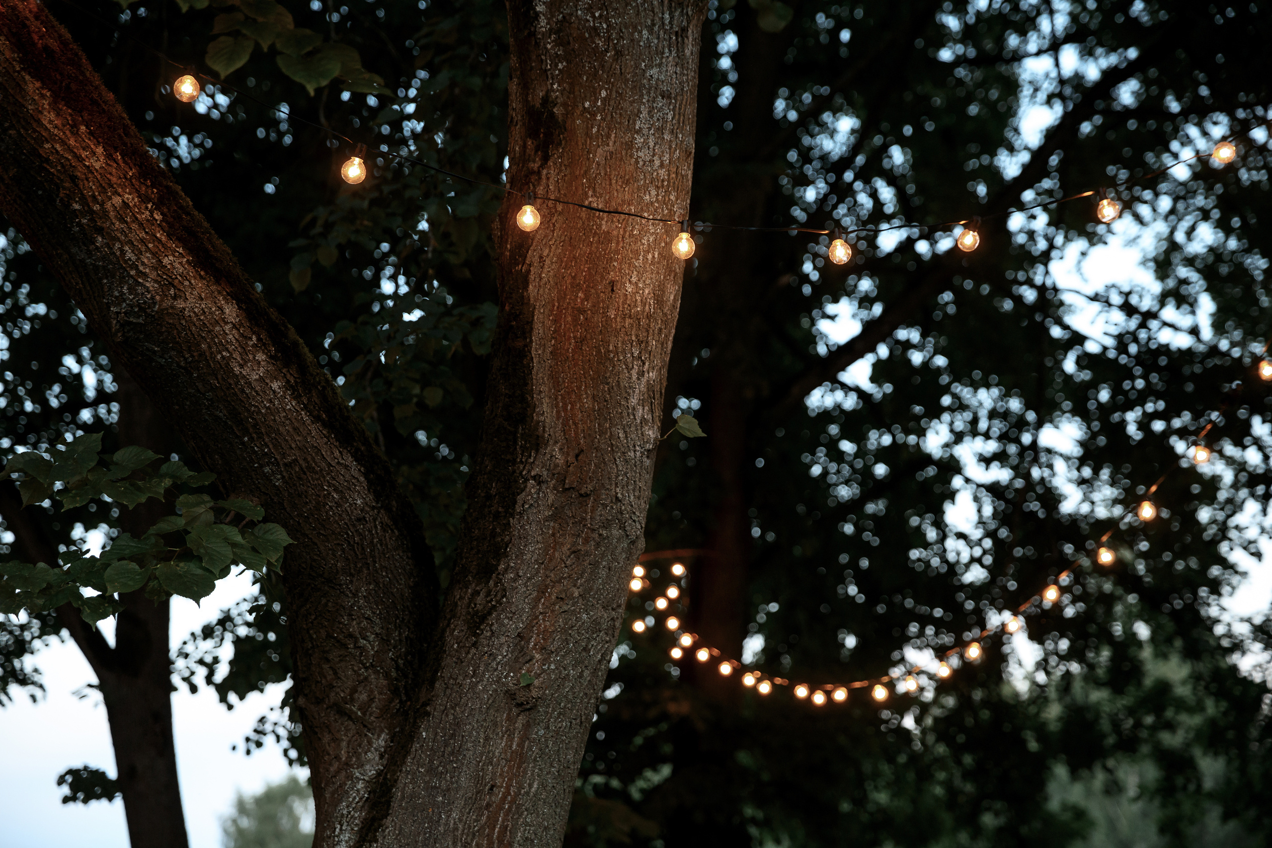 Wedding day Евгений и Станислава. Свадебный фотограф Колесников Антон