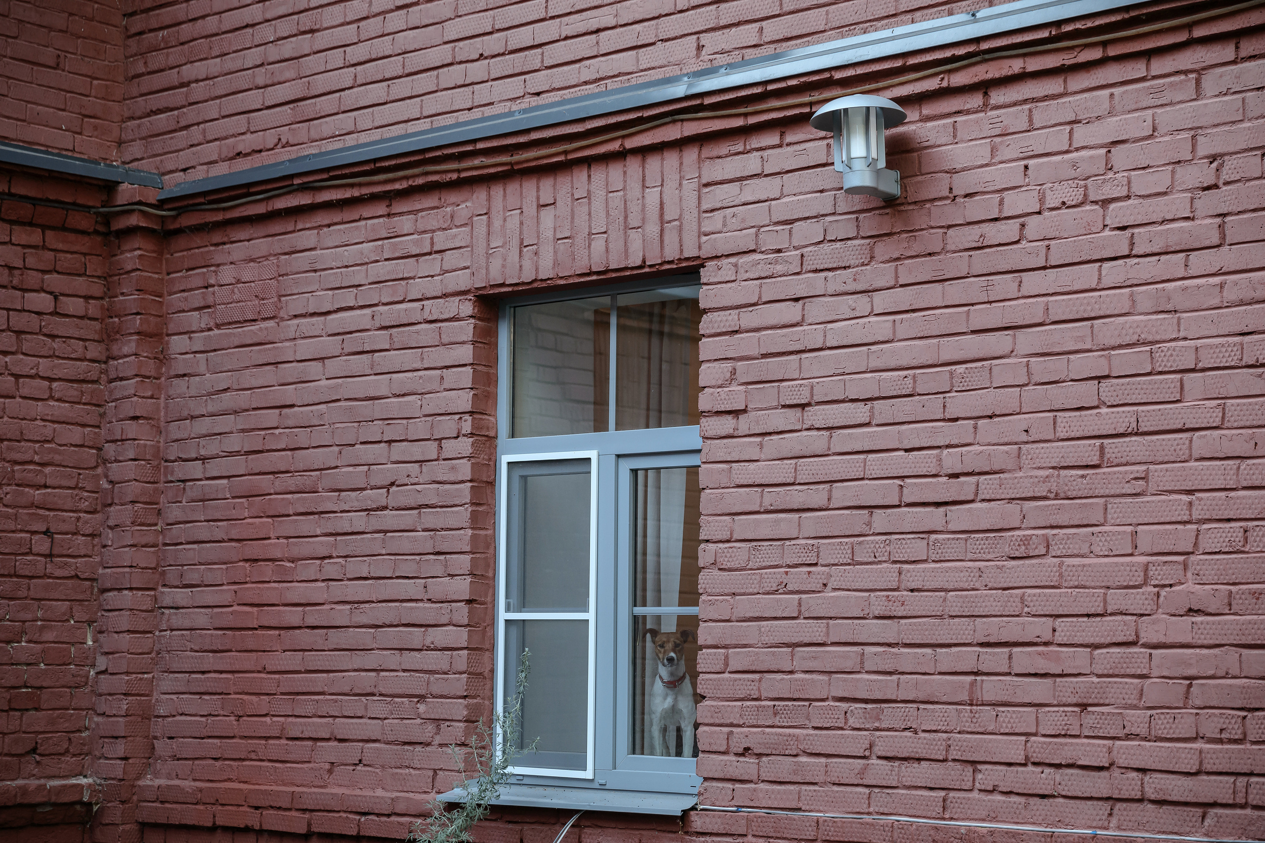 Wedding day Евгений и Станислава. Свадебный фотограф Колесников Антон