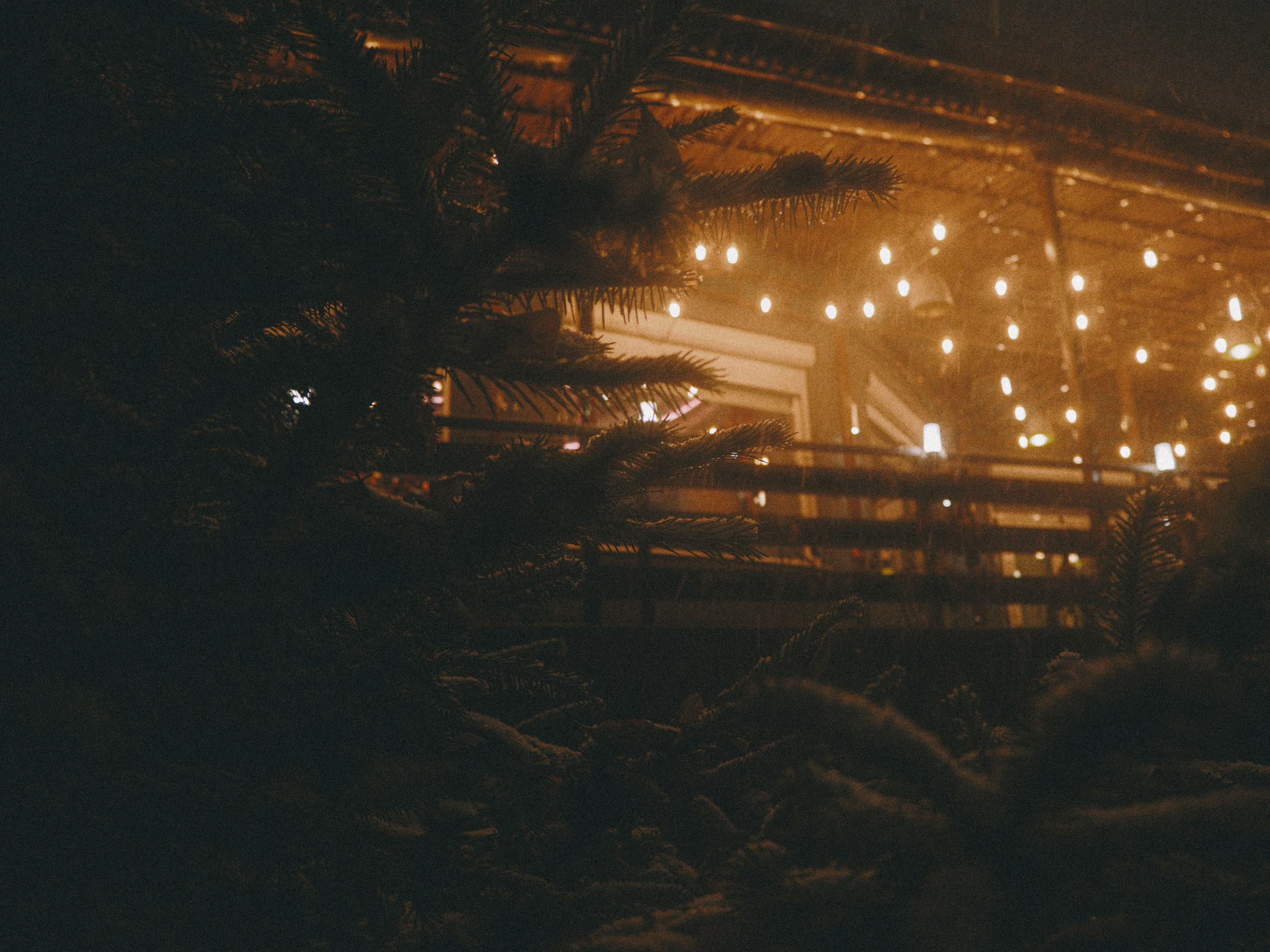 NIGHT WINTER. Максим и Наталья Фёдоровы — Портретные и свадебные фотографы в Хабаров