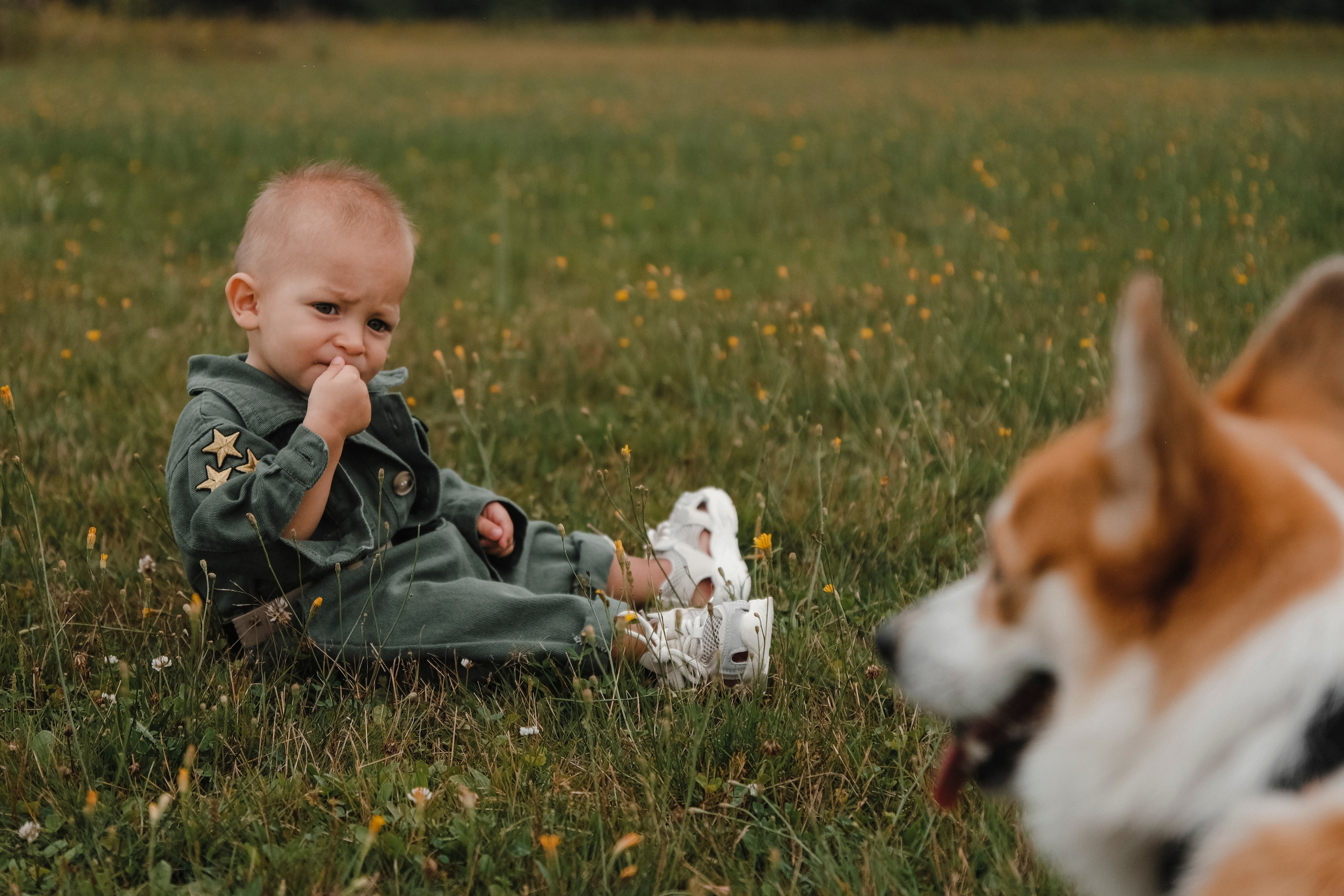 Аэродром. Фотограф и видеограф в Москве и МО — Евгений Лавров