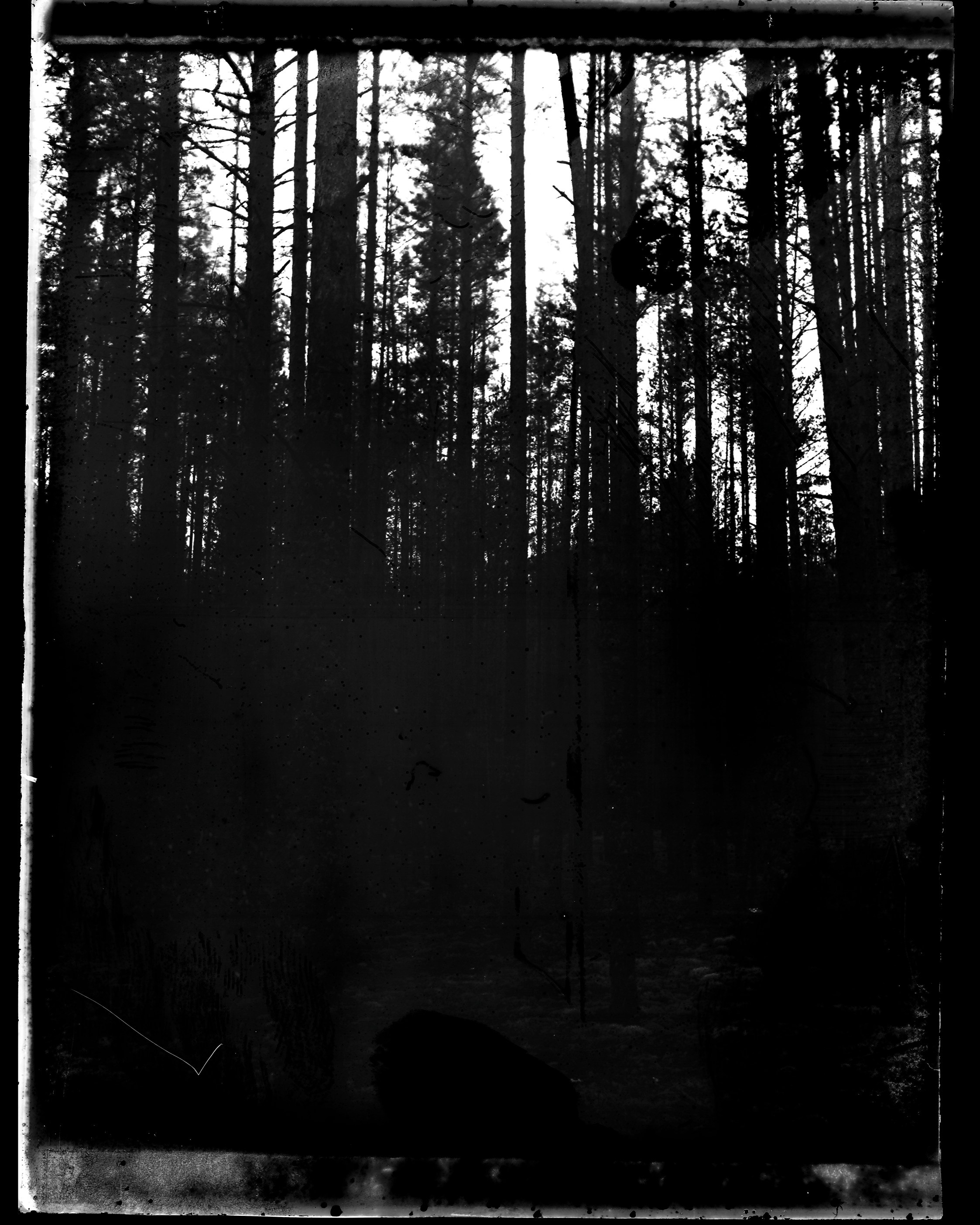 Glass plates. Darkroom aesthetics