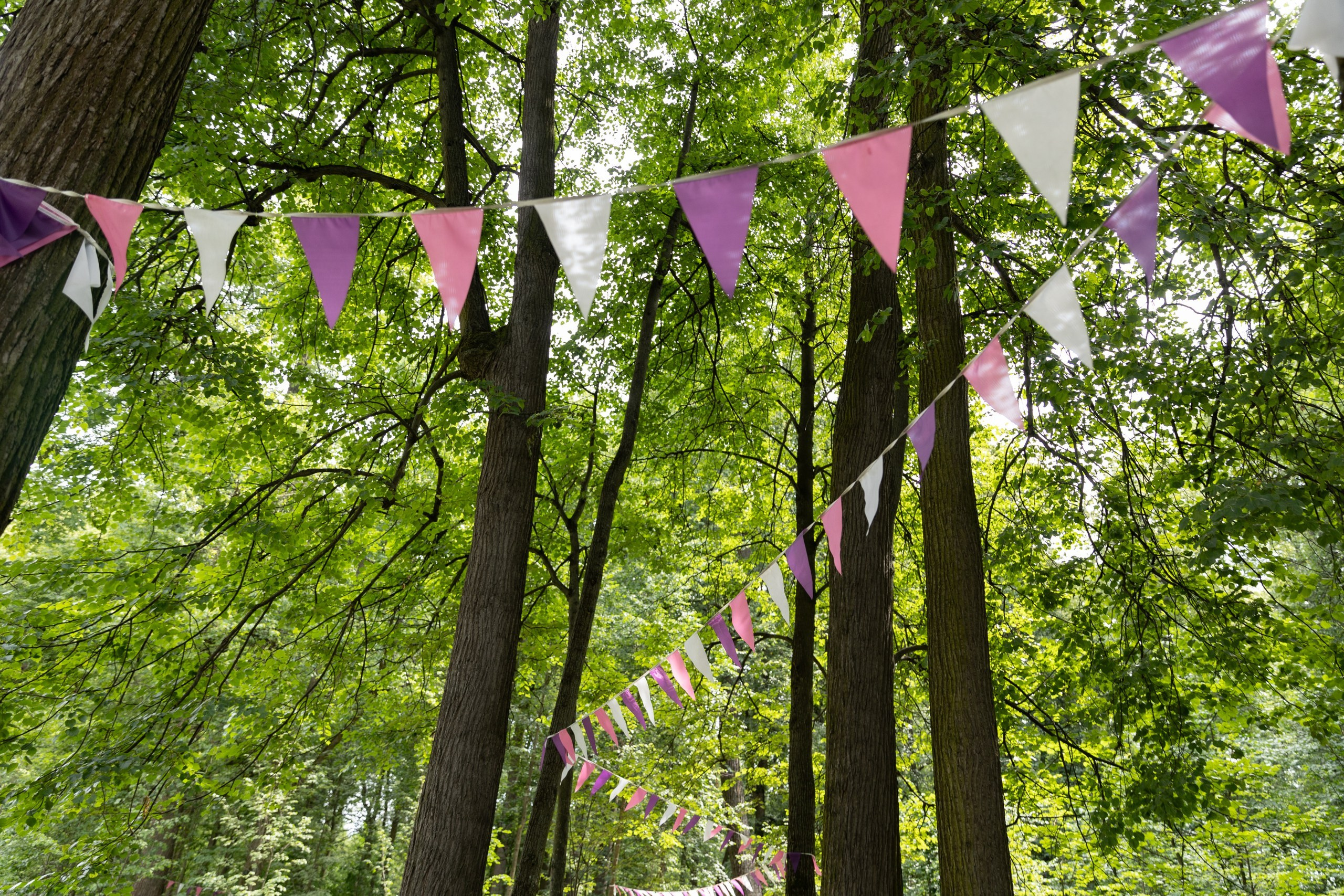 Корпоративная экскурсия. Усадьба Большие Вяземы. Свадебный и семейный фотограф