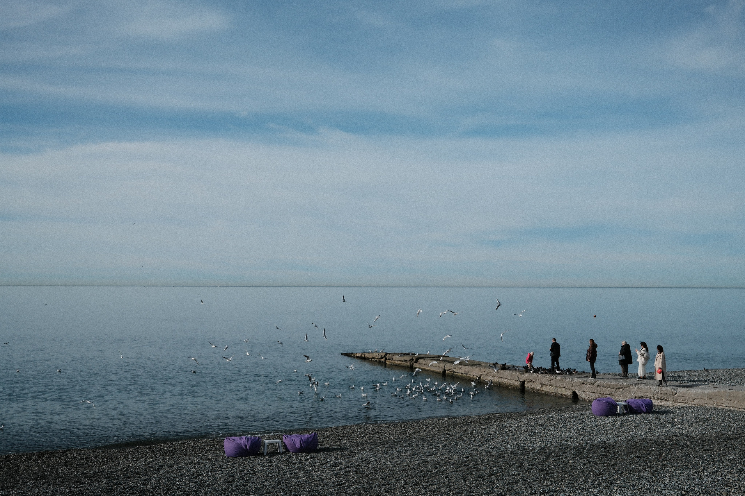 Фотографии зимнего Адлера. Алексей Торопов фотограф