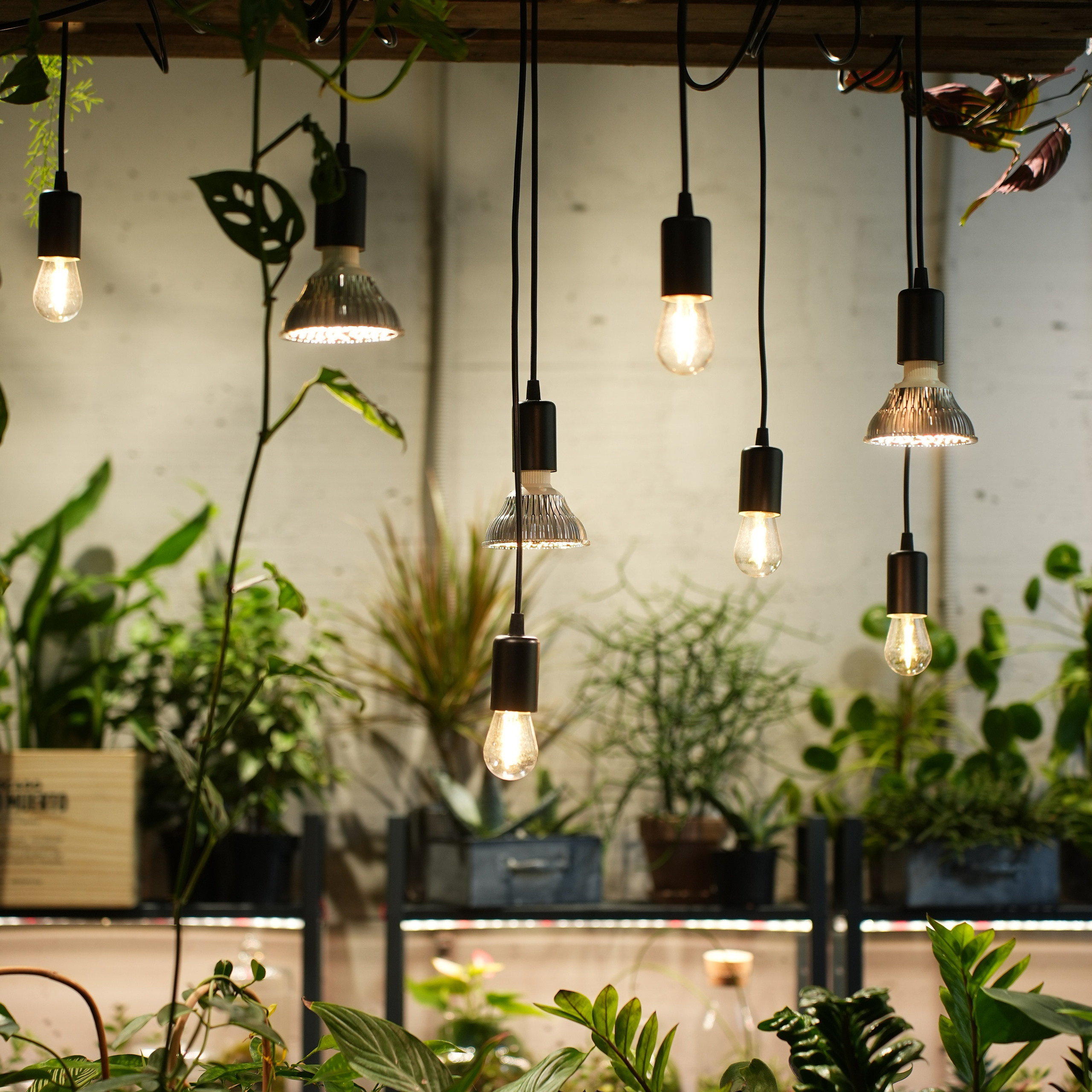 Интерьерная фотосъемка флористического магазина