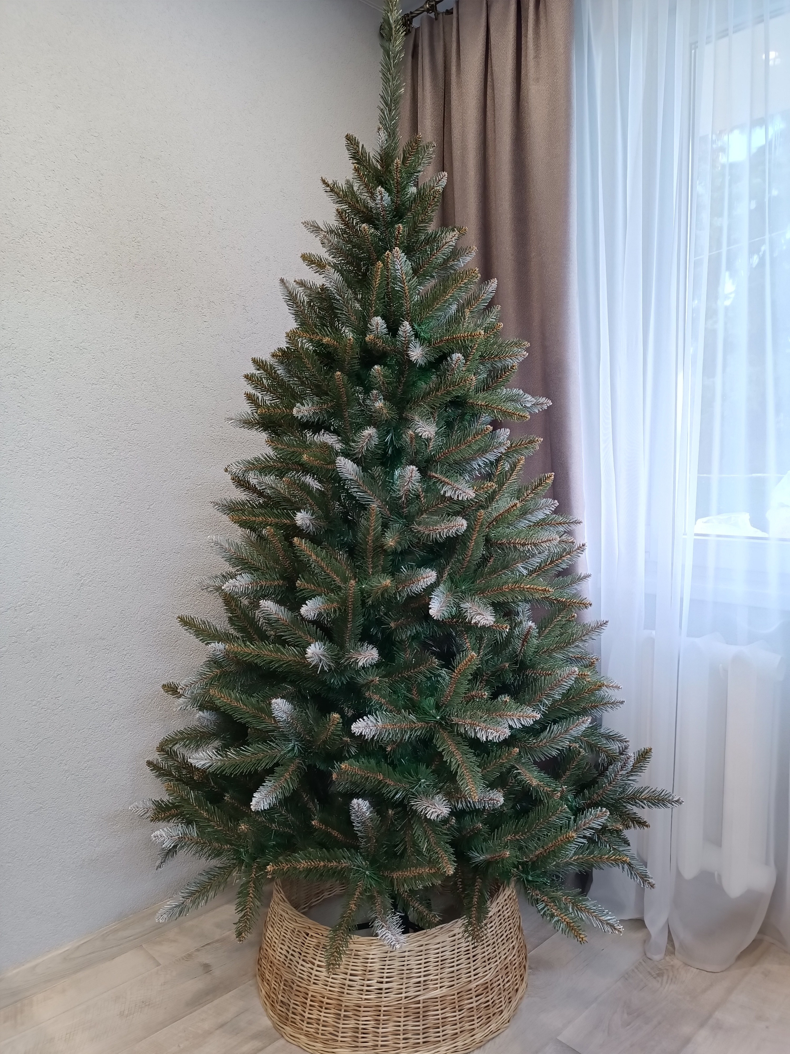 БЕАТРИС. Elki_grodno