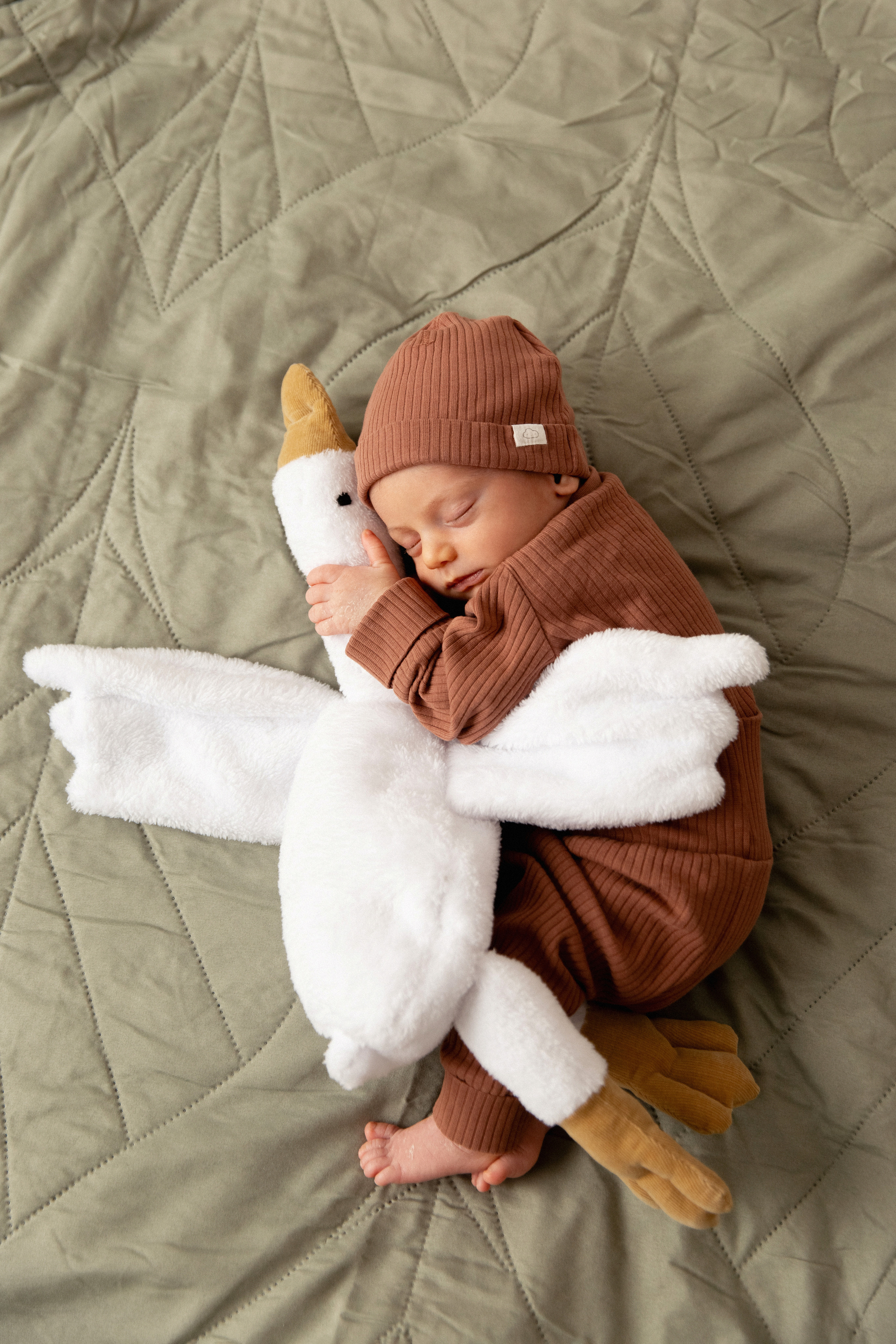 Фотосессия новорожденных в Мурманске, фотограф новорожденных. Мария Махинина — фотограф в Мурманске и Североморске