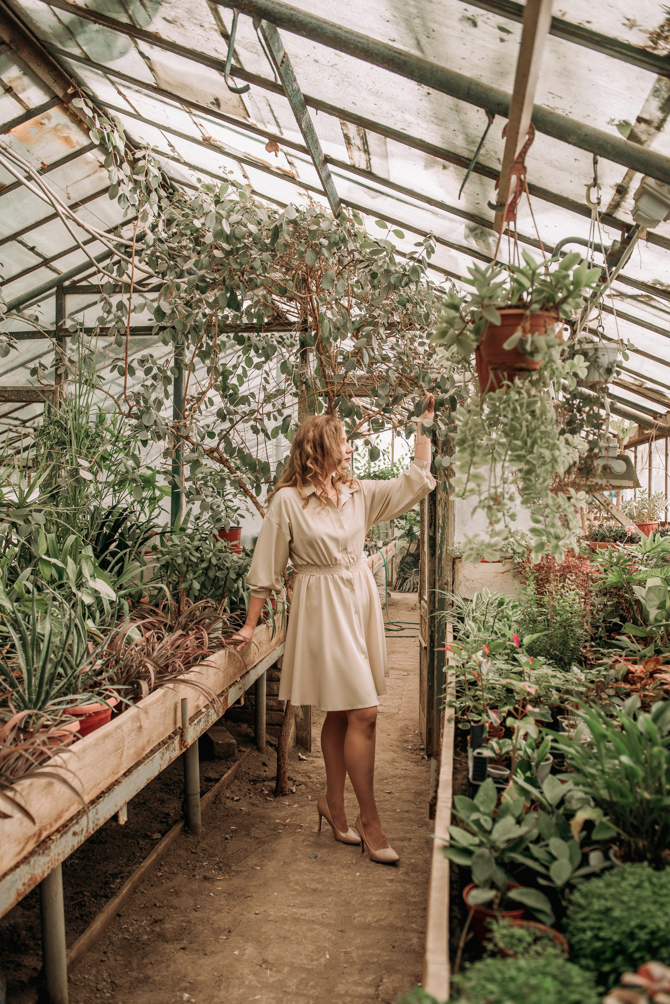 Семейная съёмка в оранжерее. Семейный фотограф в Новочеркасске Виктория Громова