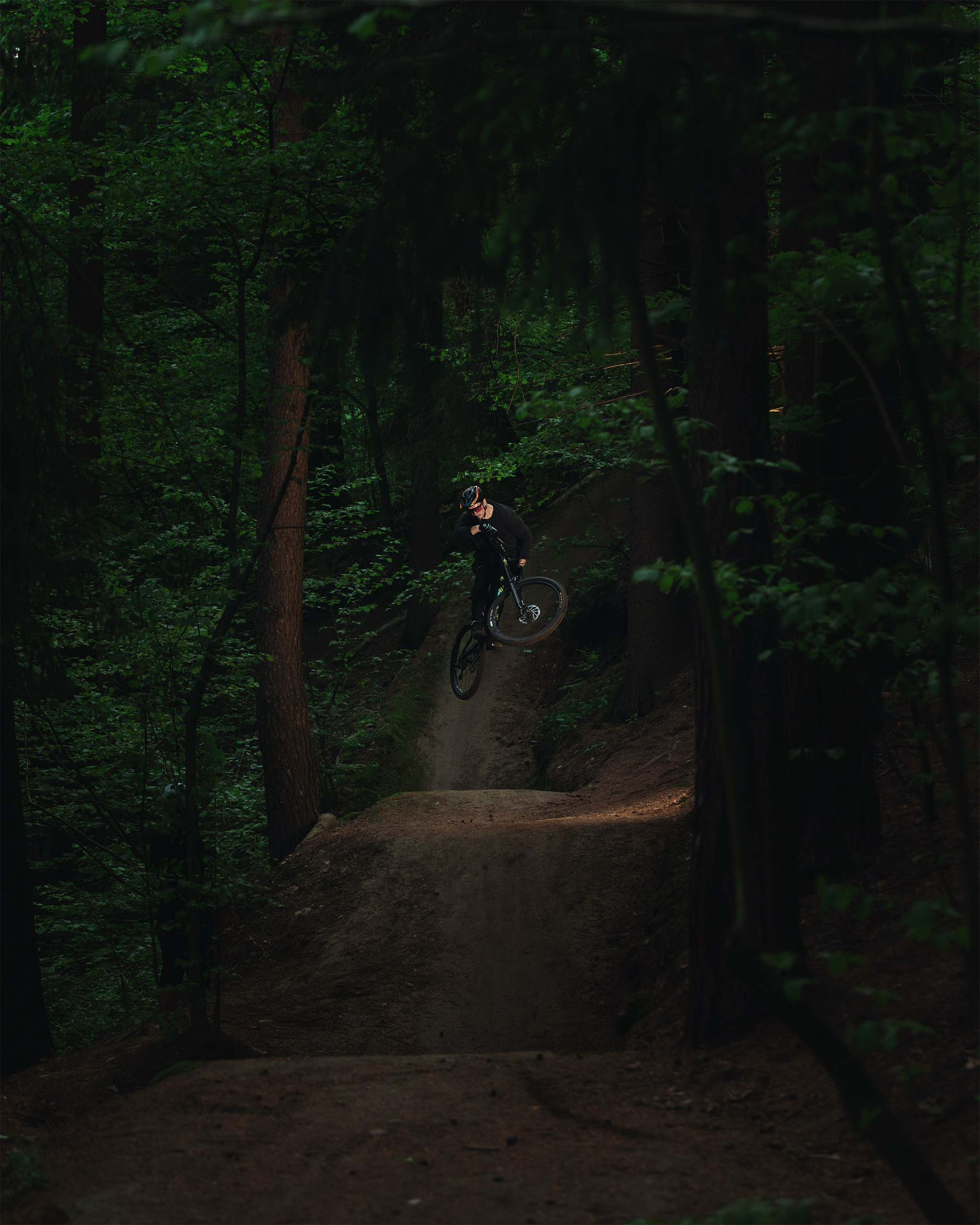 Покатушки в Огороде. Фотограф анималист Никита Натальный