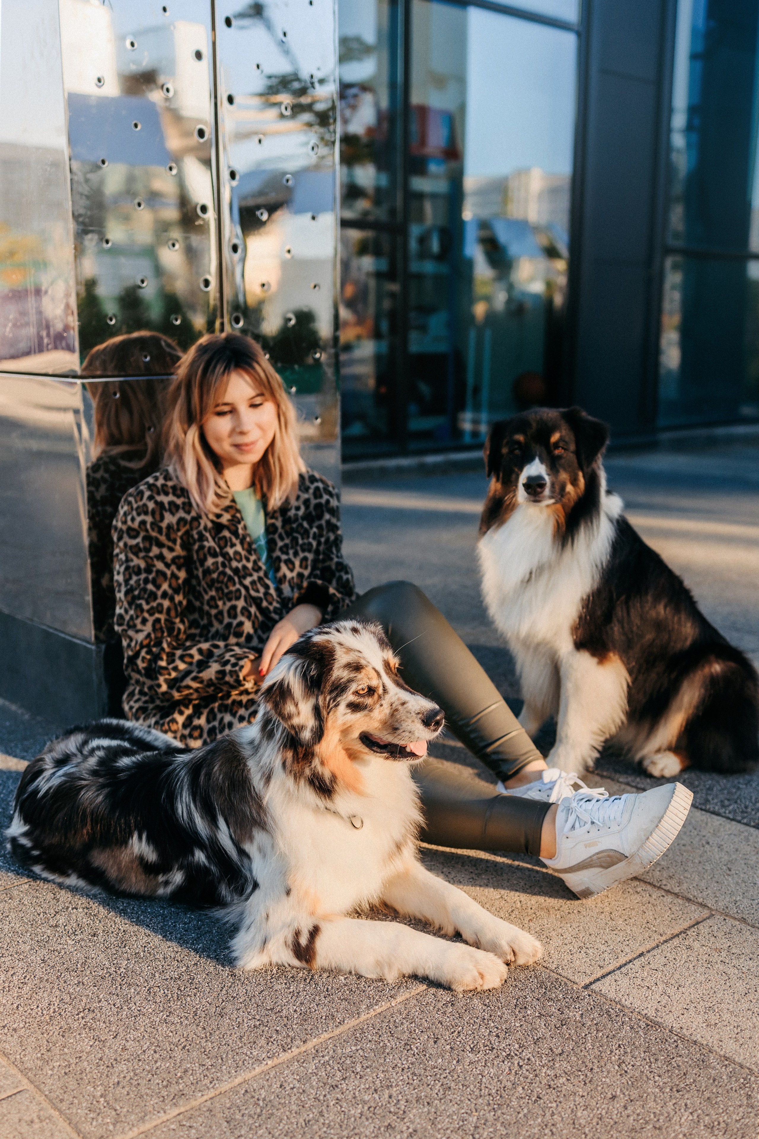 Аня, Чарли и Ева. Фотограф-анималист Елена Радченко, Москва