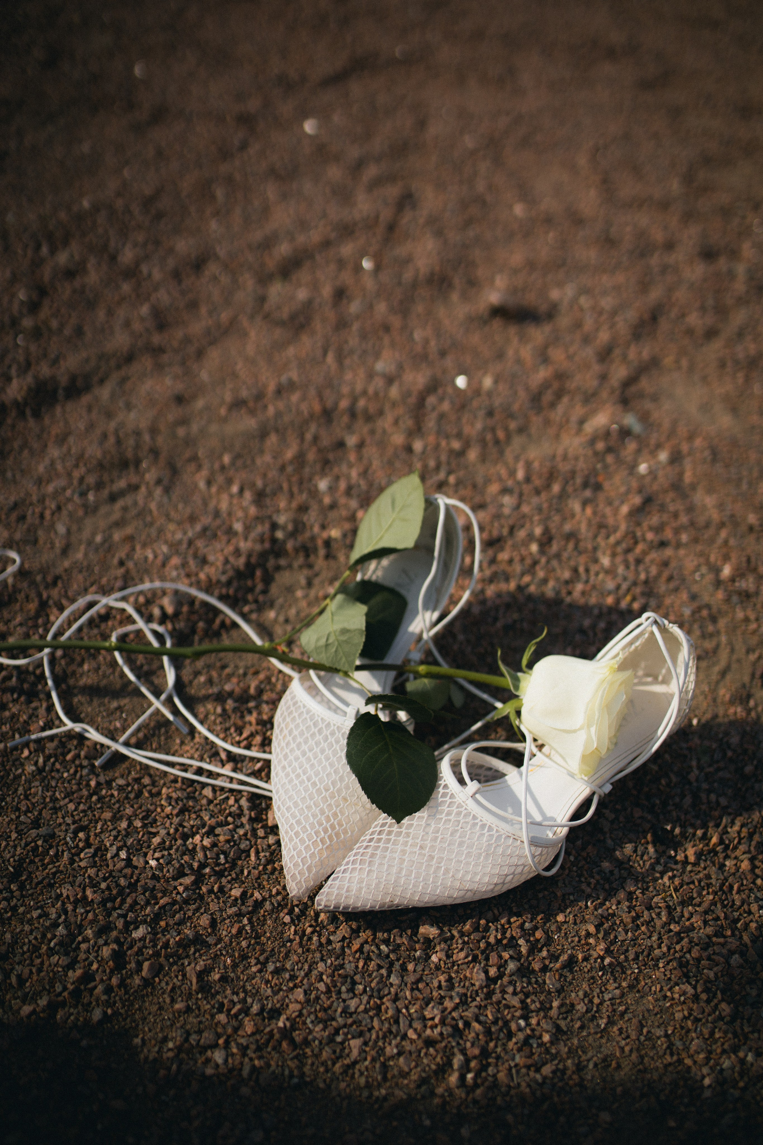 Алиса. Klerout Photographer