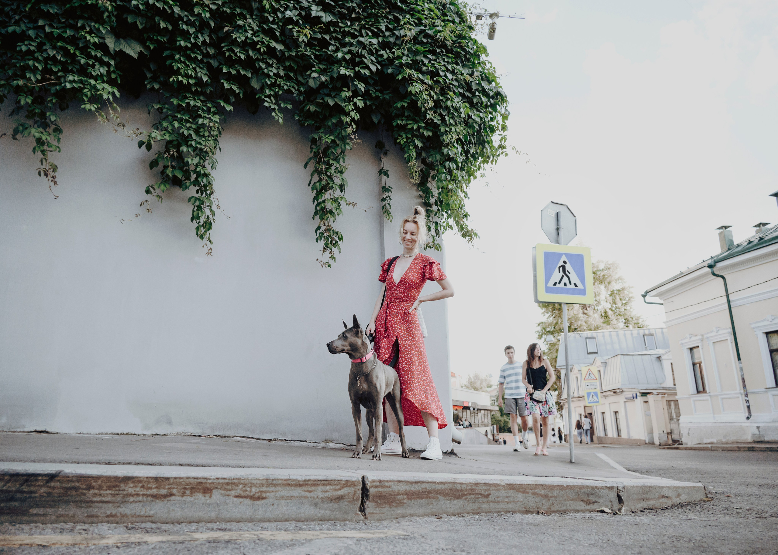 Шарма. Фотограф- анималист Александра Матвеева