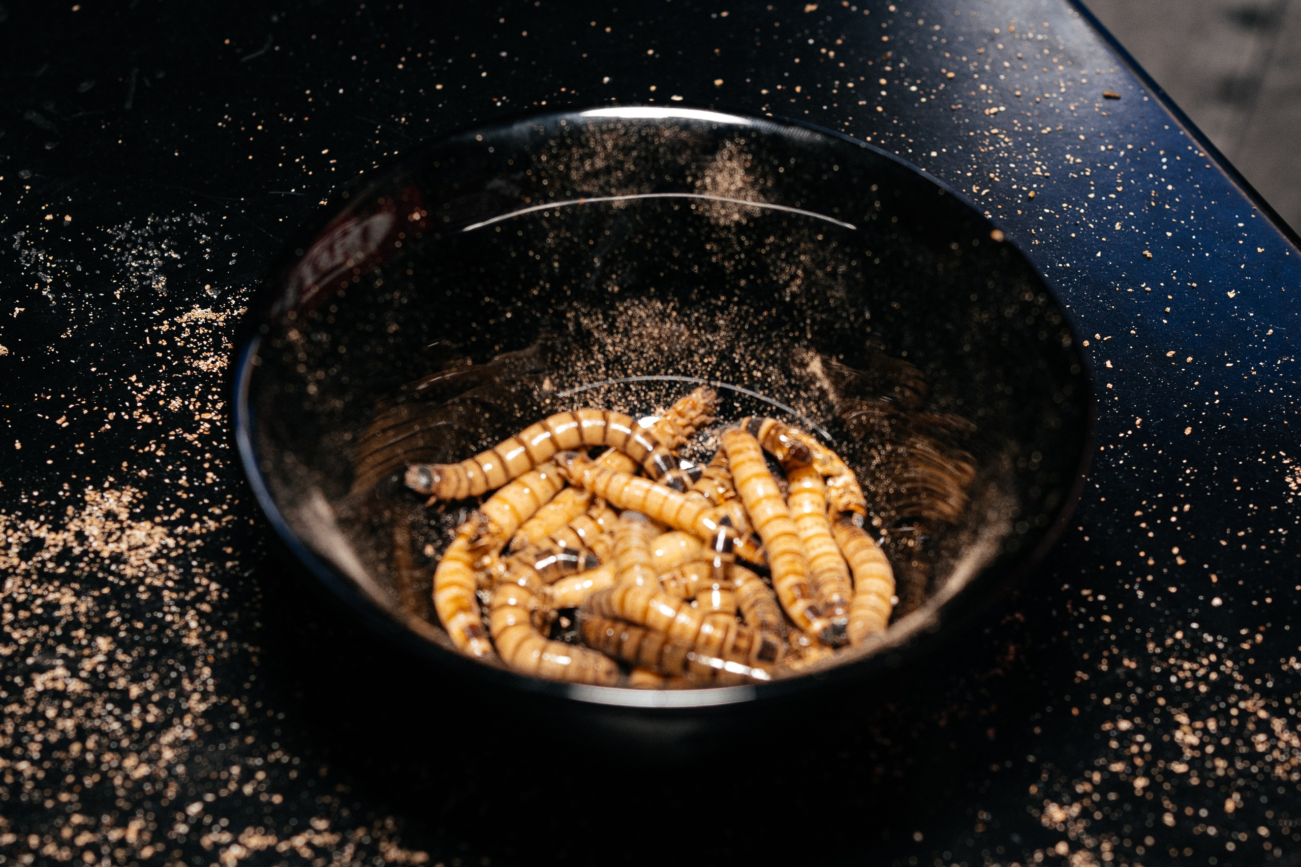 День Рождения дочки Елены Башкирцевой. Главная