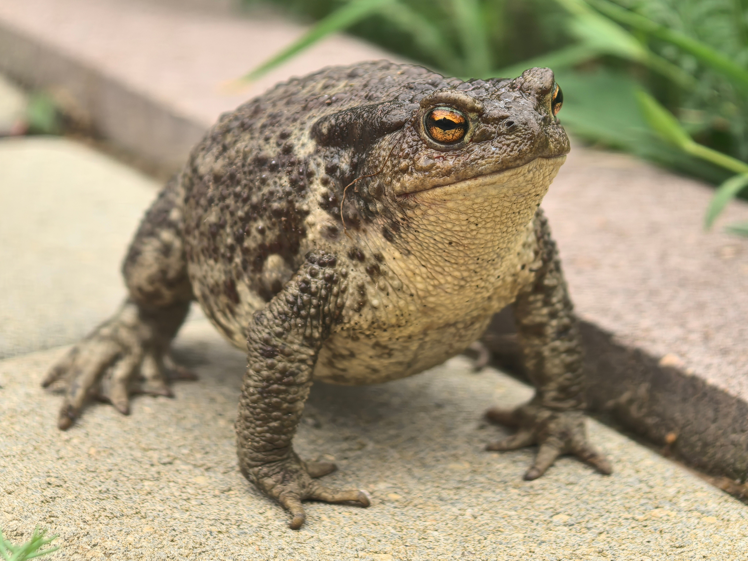 Чудесная природа. Школьные выпускные альбомы в Москве Марина Николаева