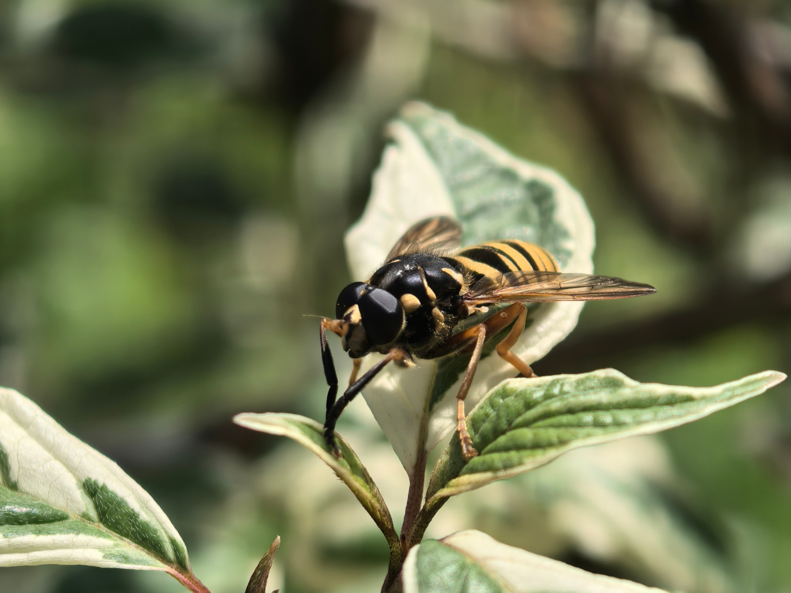 ПочтиМАКРО. Школьные выпускные альбомы в Москве Марина Николаева