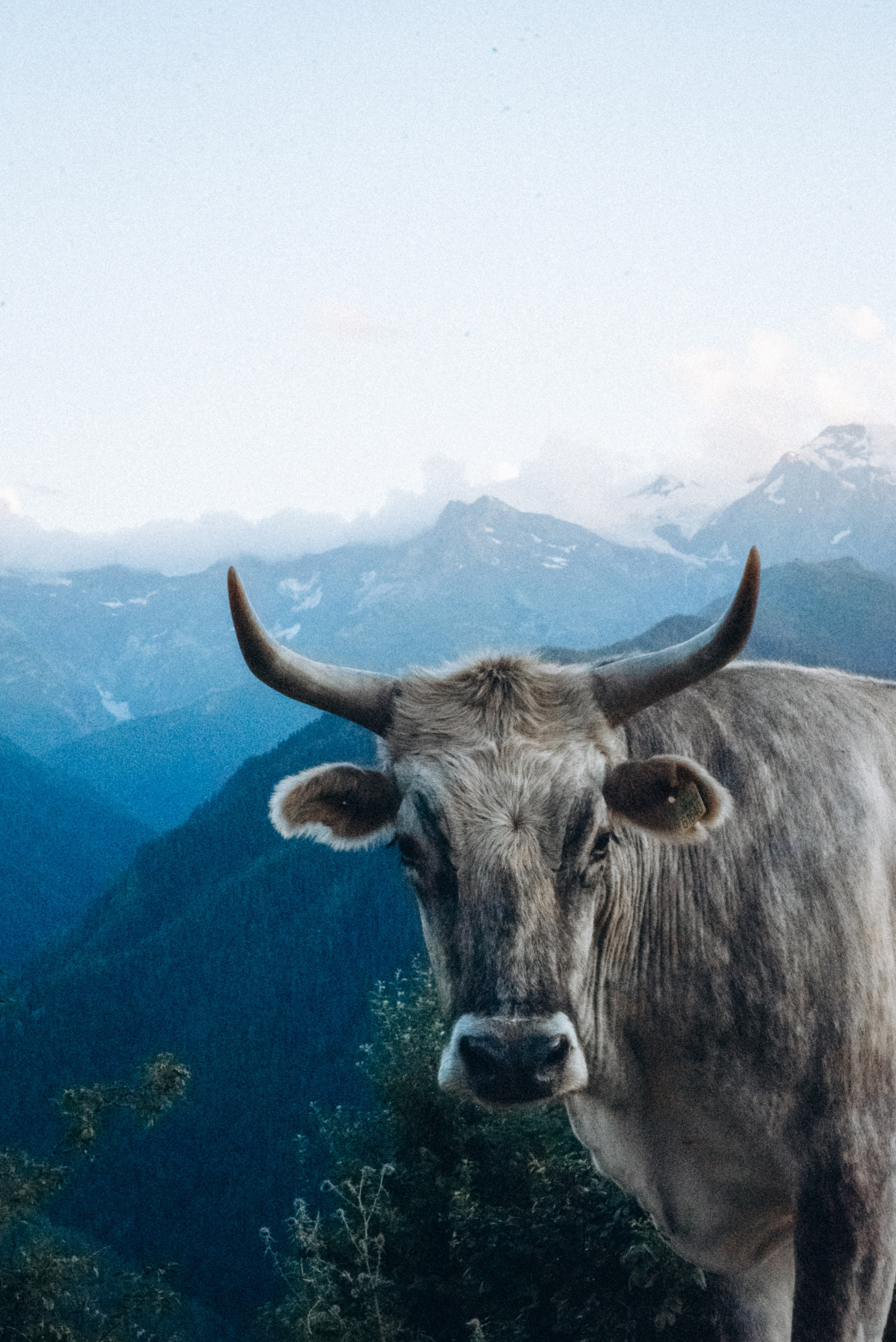 Сванетия, Грузия 🇬🇪. Anita_photo