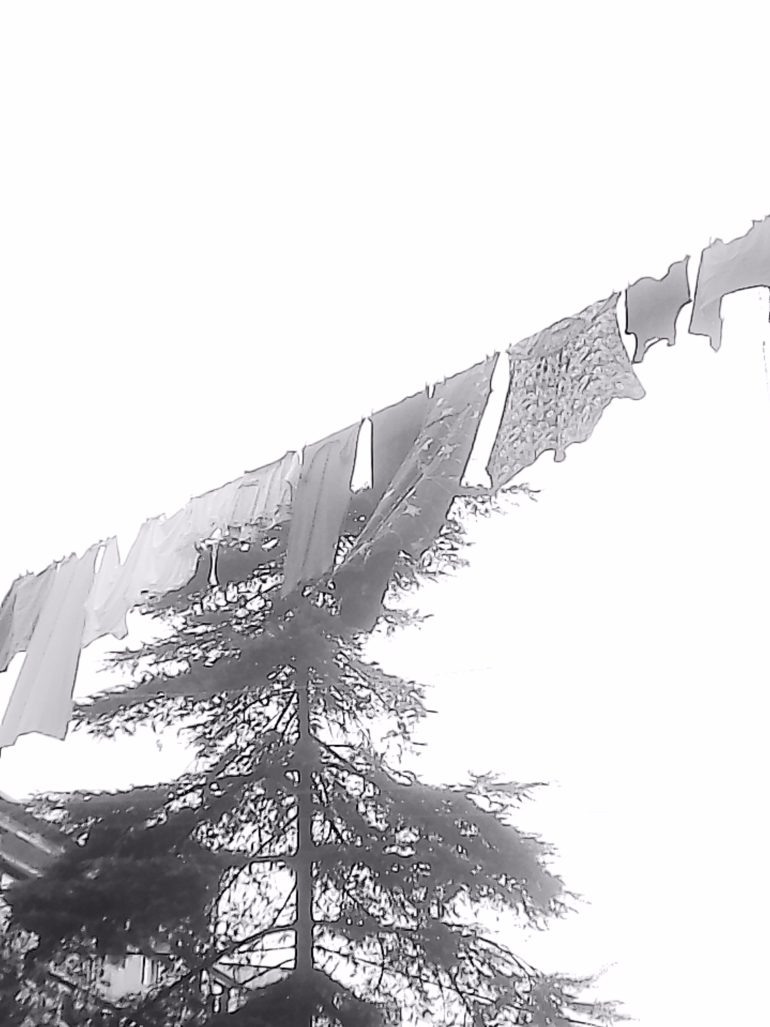 «Крошка 🐣». Anita_photo