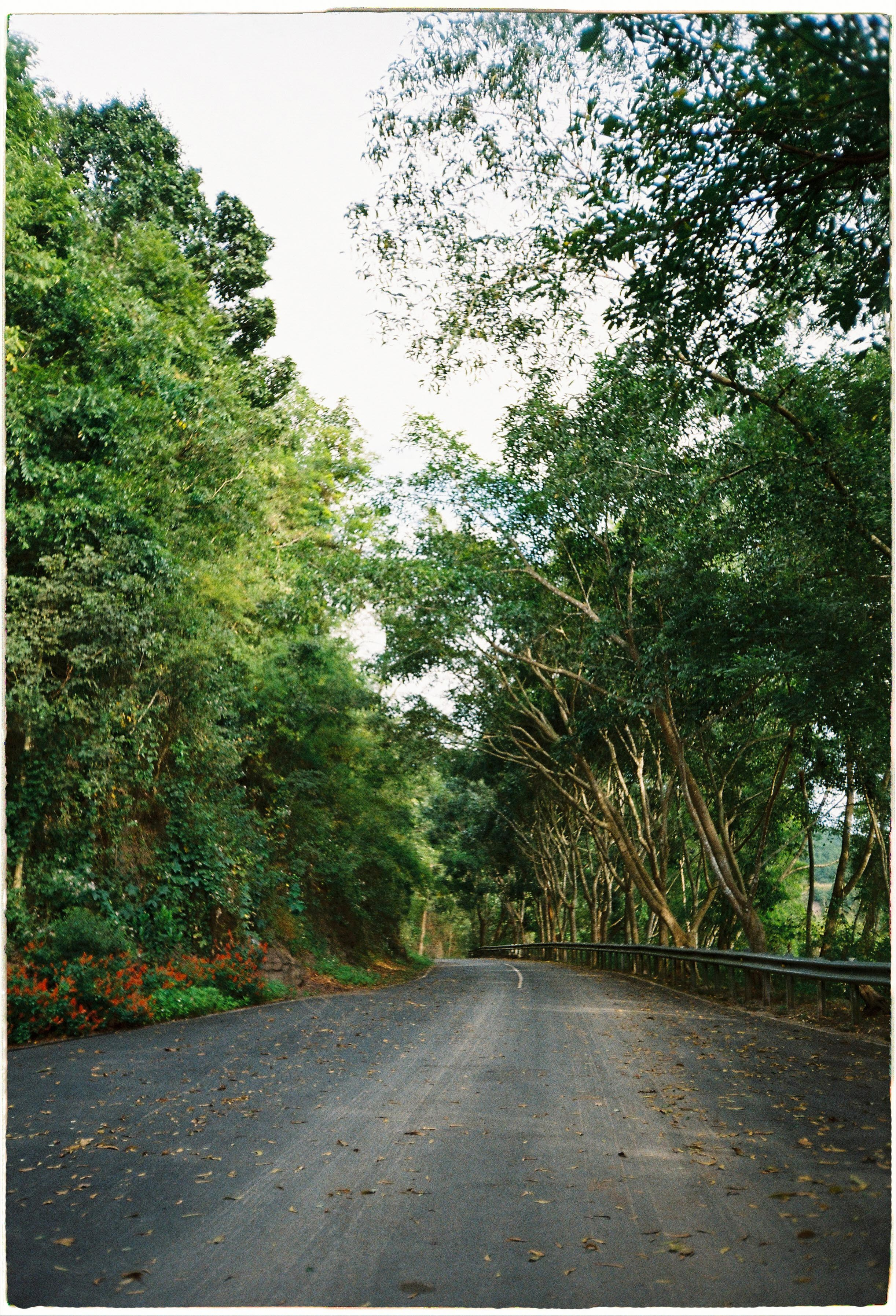 Dalat 2024. Film Photographer in Da Nang, Vietnam — Tanya Parfenteva