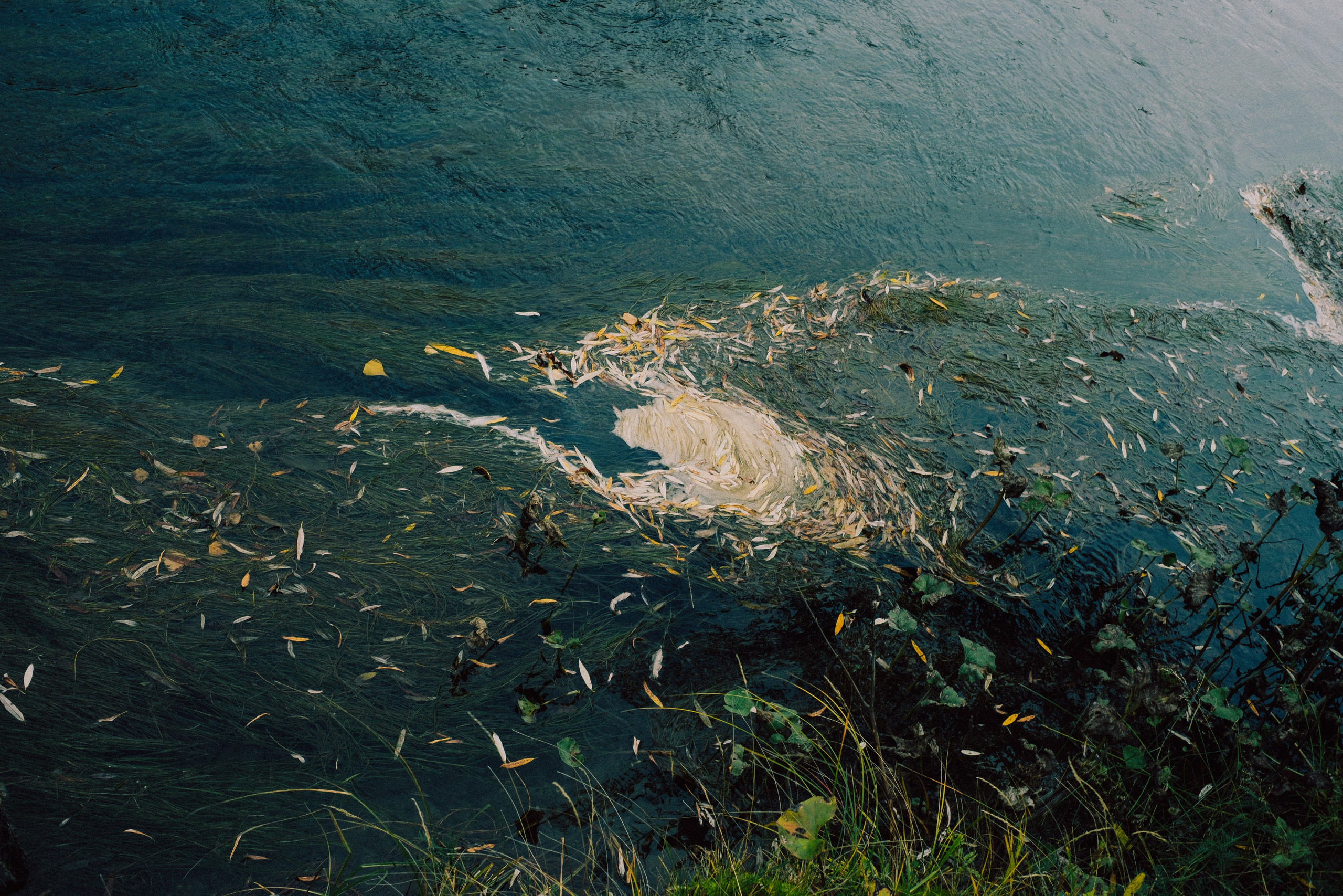 Хакасия. Фотограф из Хакасии Элина Кичеева