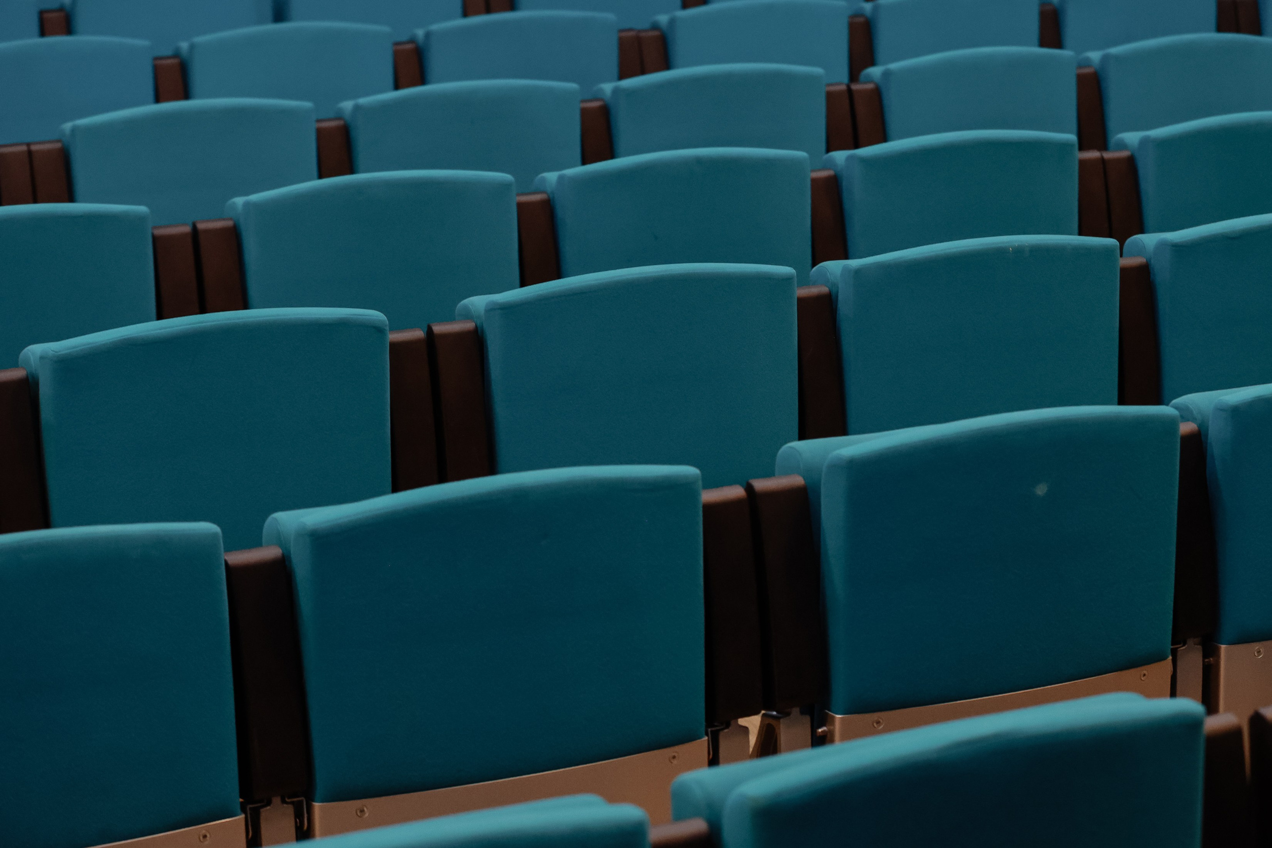 Котиара _ Отчетник. Фотограф Юлия Мальцева