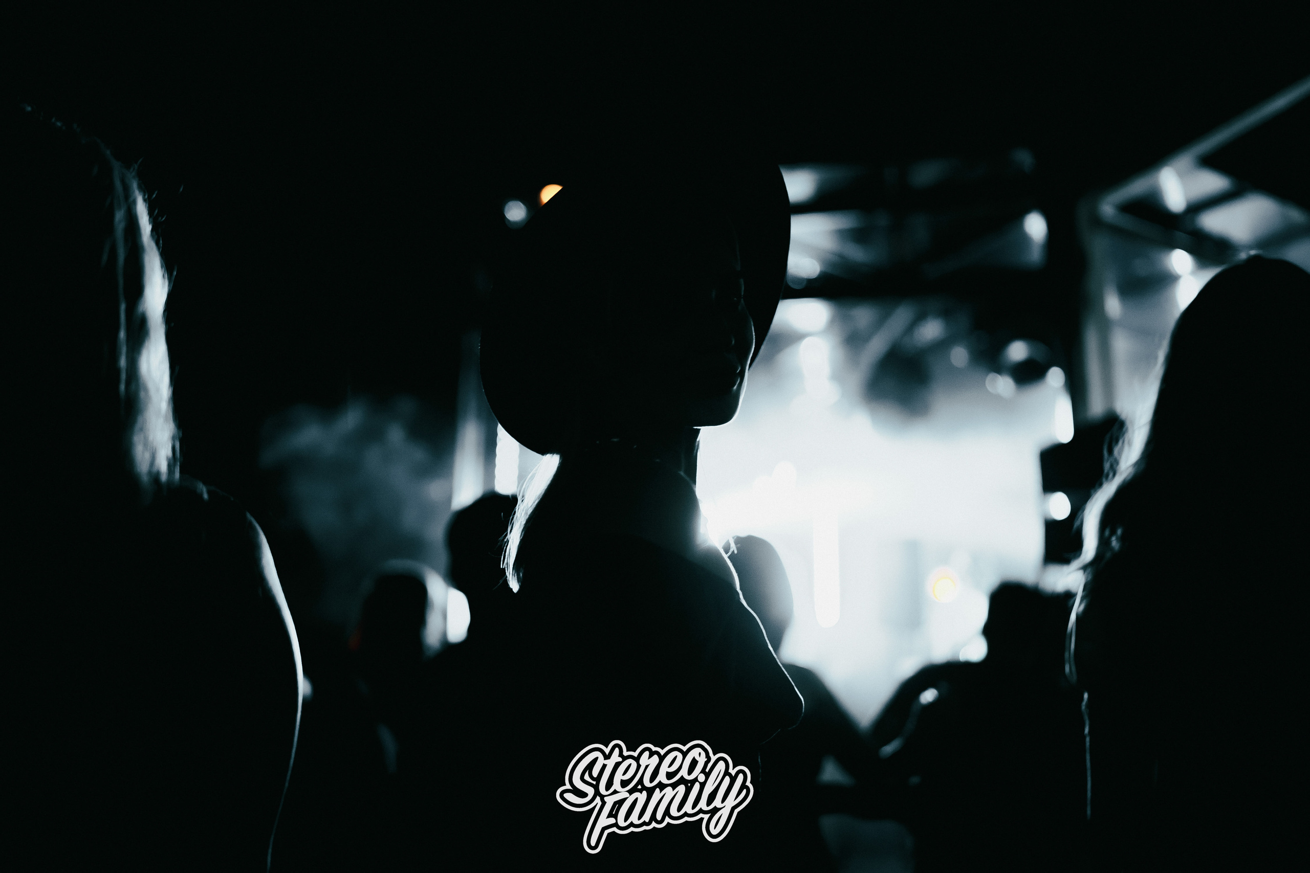 Stereoporno at Fantomas Rooftop. Репортажный (клубный) фотограф в Москве