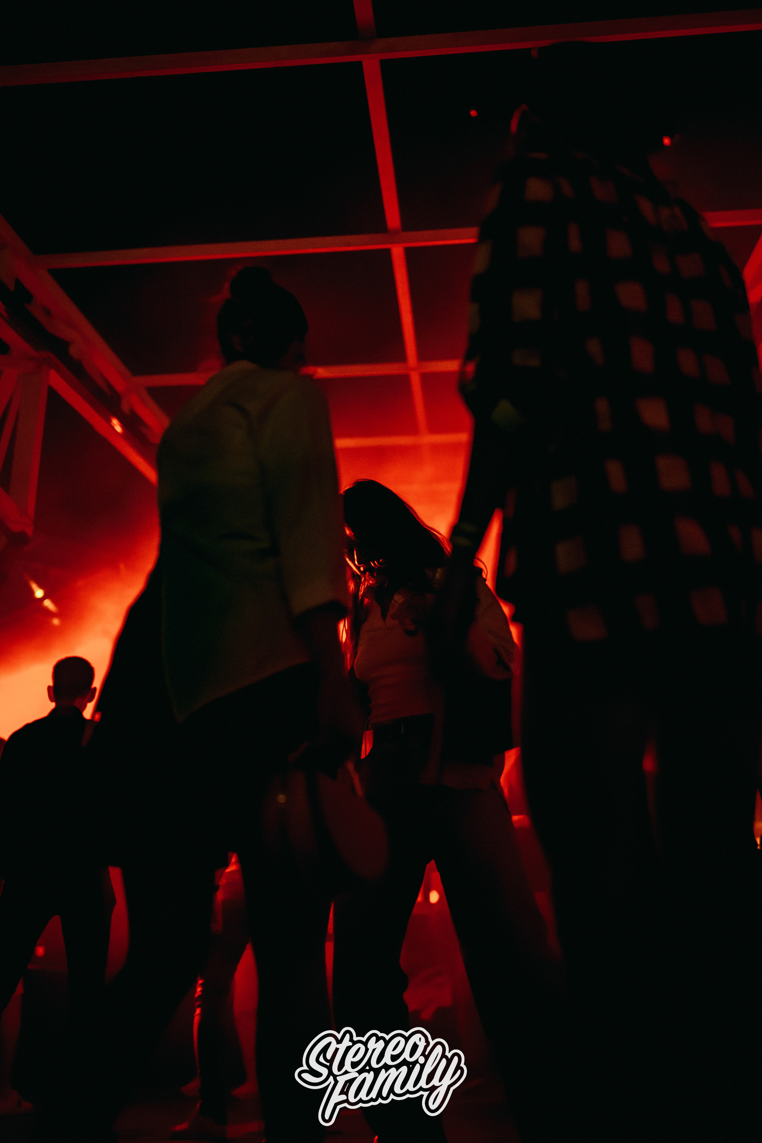 Stereoporno at Fantomas Rooftop. Репортажный (клубный) фотограф в Москве