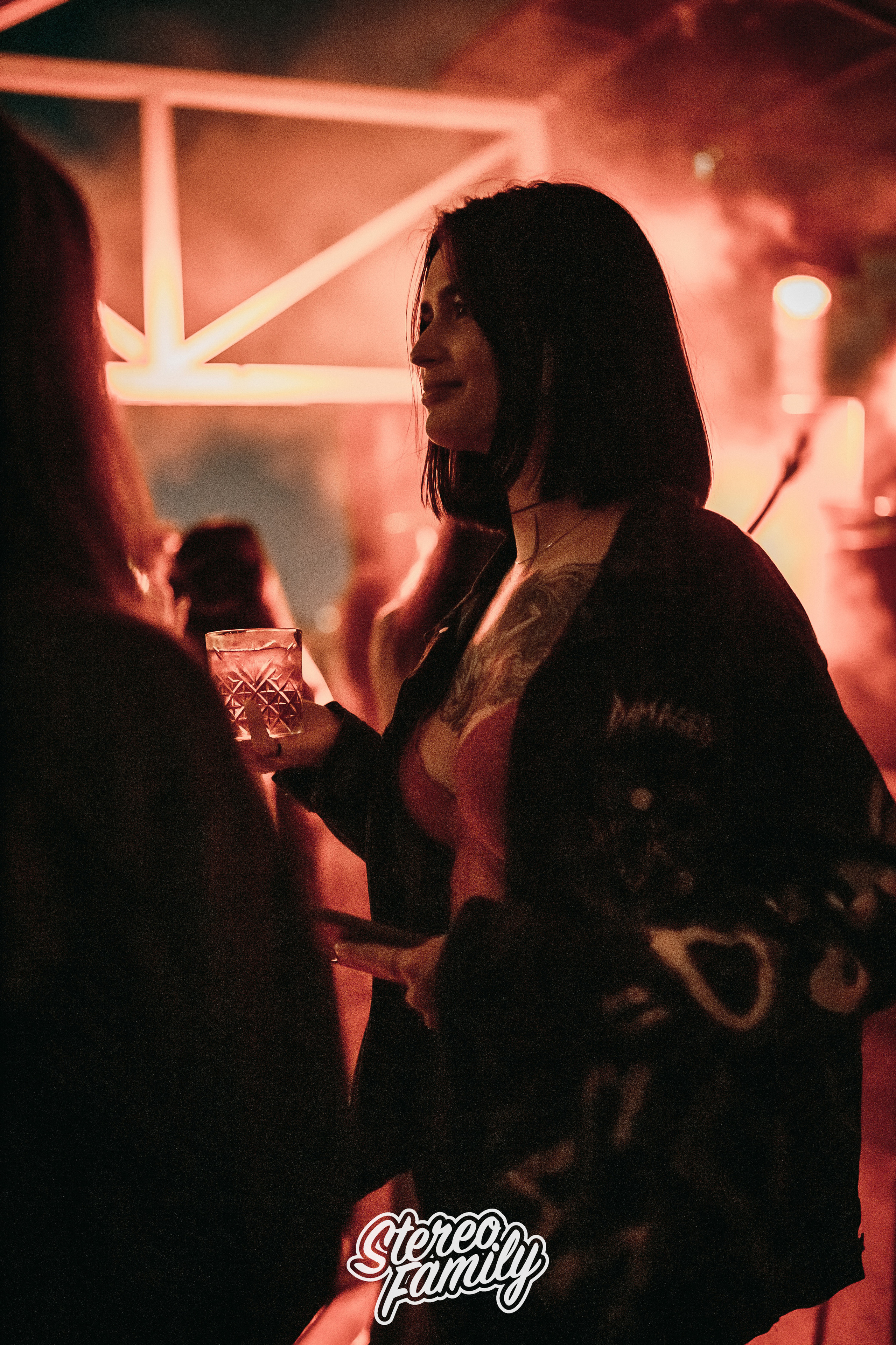 Stereoporno at Fantomas Rooftop. Репортажный (клубный) фотограф в Москве