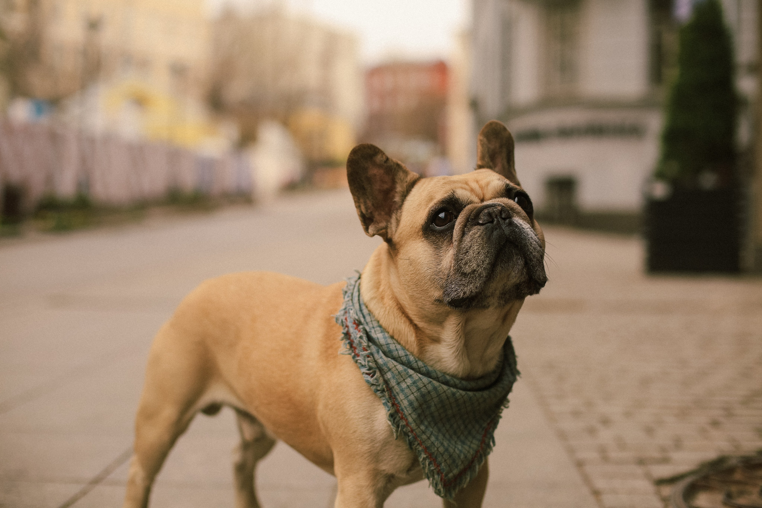 Таня и Максим. Фотограф Перевозкина Анна